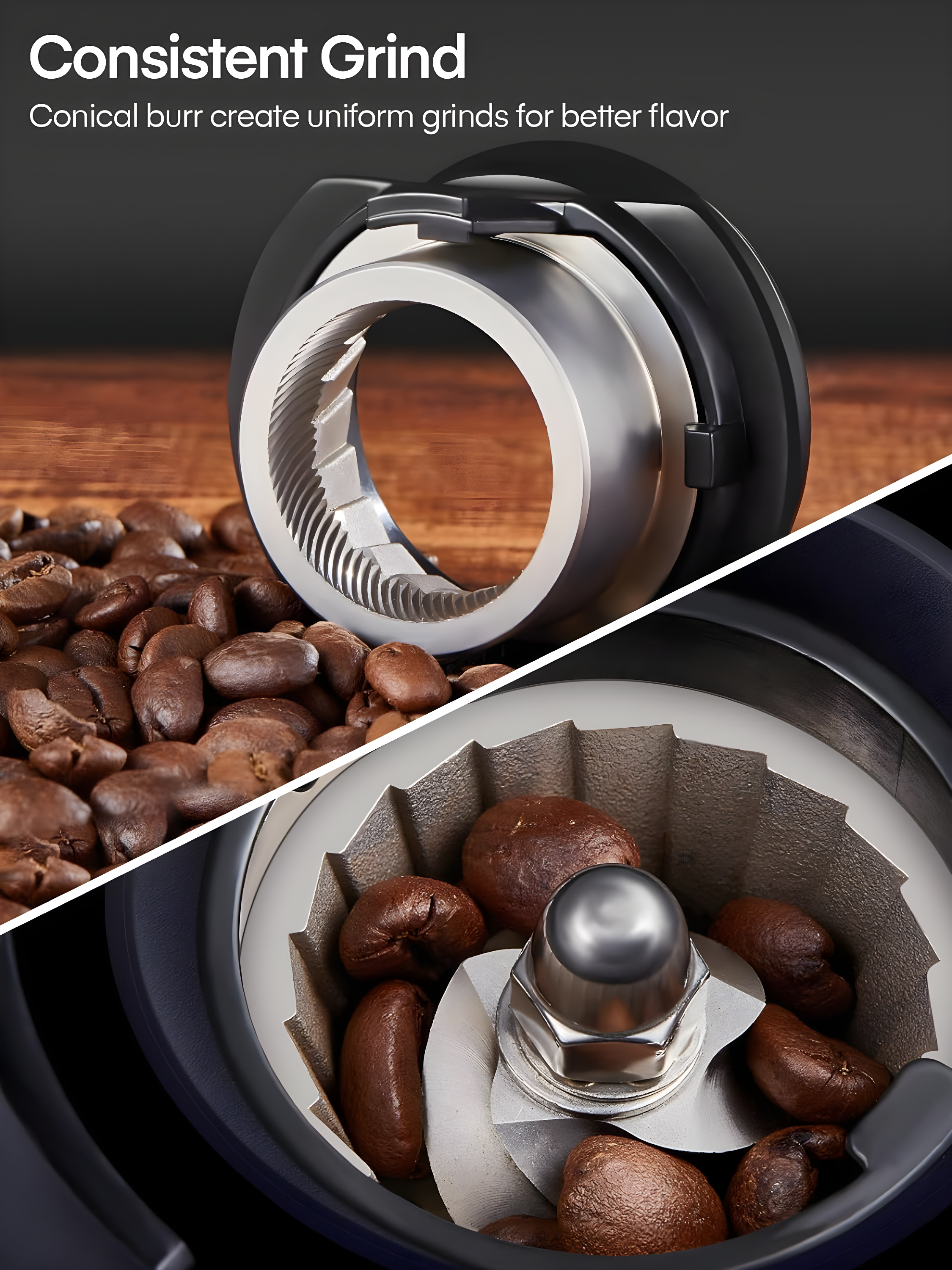 Anti-Static ABS Plastic Electric Coffee Grinder,  200W (AC 120V/60Hz) Motor, SUS420 Steel Conical Burr, 42dB Quiet Operation