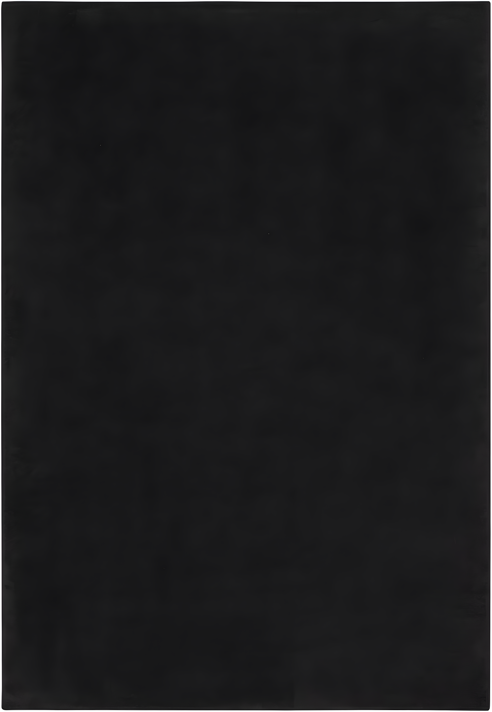 Nourison Essentials Easy Care Indoor Outdoor Area Rug - Black 4' x 6'