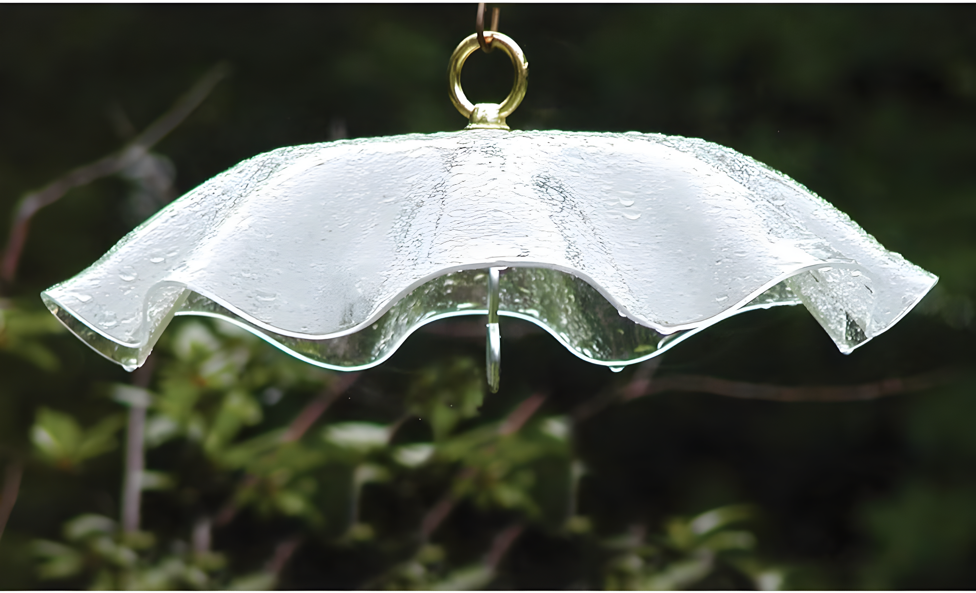 Weather-Resistant Acrylic Bird Weatherguard Cover