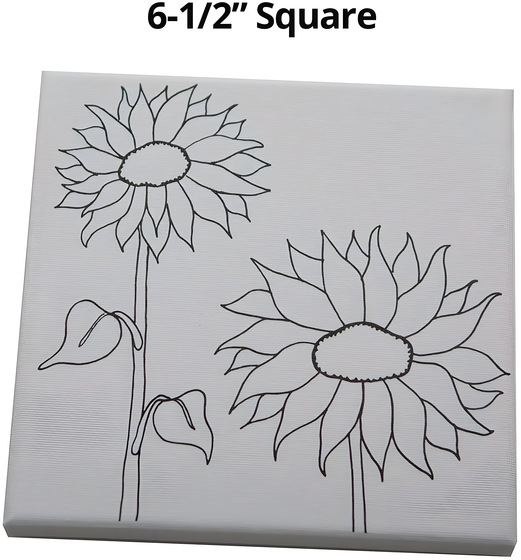 S & S Worldwide Paint-Your-Own Designer Canvas Set II, 2 each of 6 Pre-Printed Designs, Great For Kids & Adults, DIY Ready To Paint, 6-1/2" x 6-1/2" Stretched Canvas. Pack of 12.