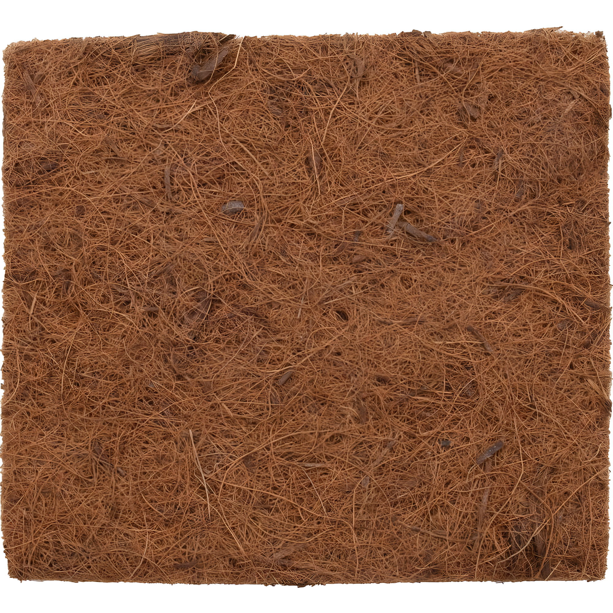 Natural Fibers Nesting Boxes (Set of 5)