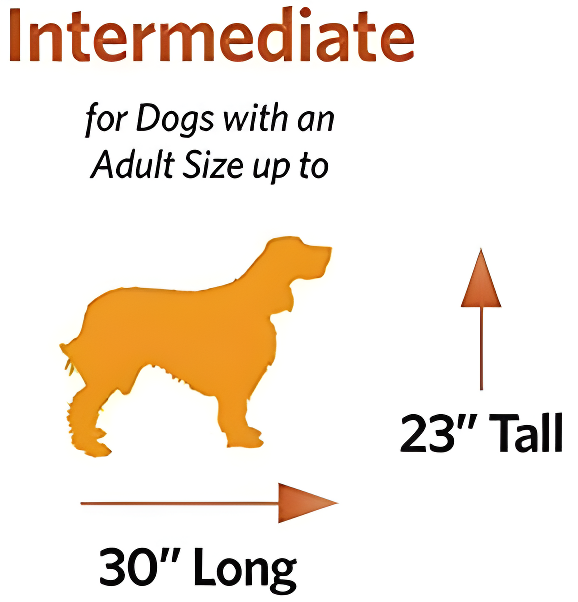 MidWest Homes for Pets Deluxe Fashion Bolster Pet Bed