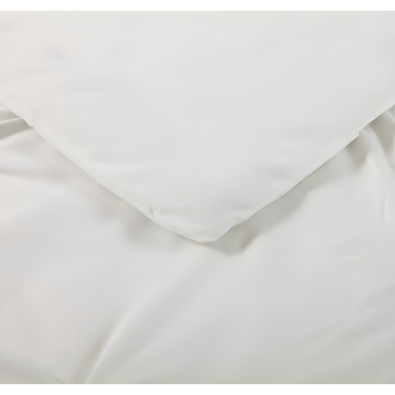 Truly Soft Solid Modern & Contemporary Comforter Set