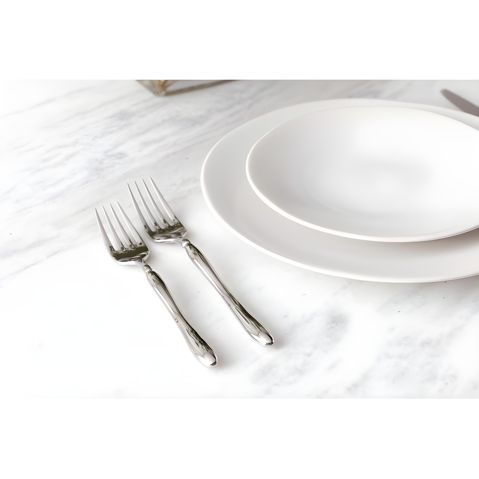 Fortessa Heirloom Dinner Plate (Set of 4)