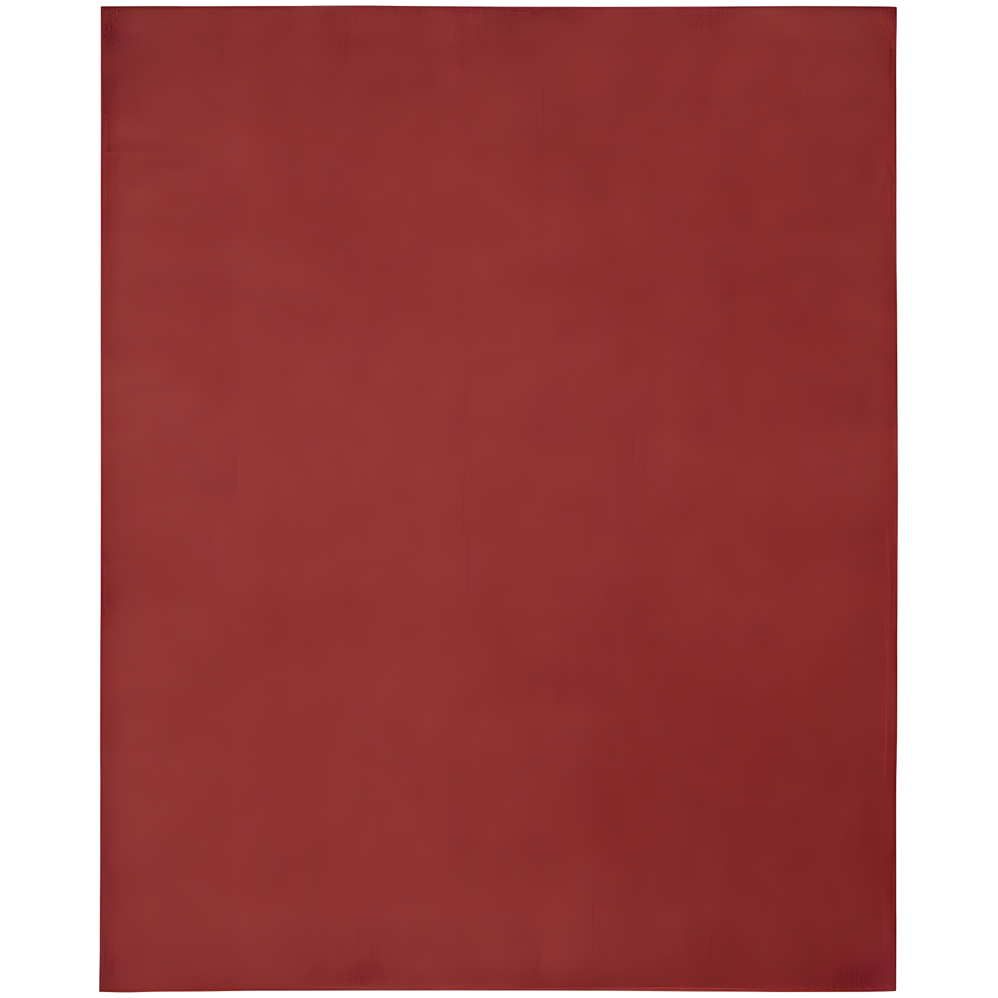 Nourison Essentials Easy Care Indoor Outdoor Area Rug - Brick Red 8' x 10'