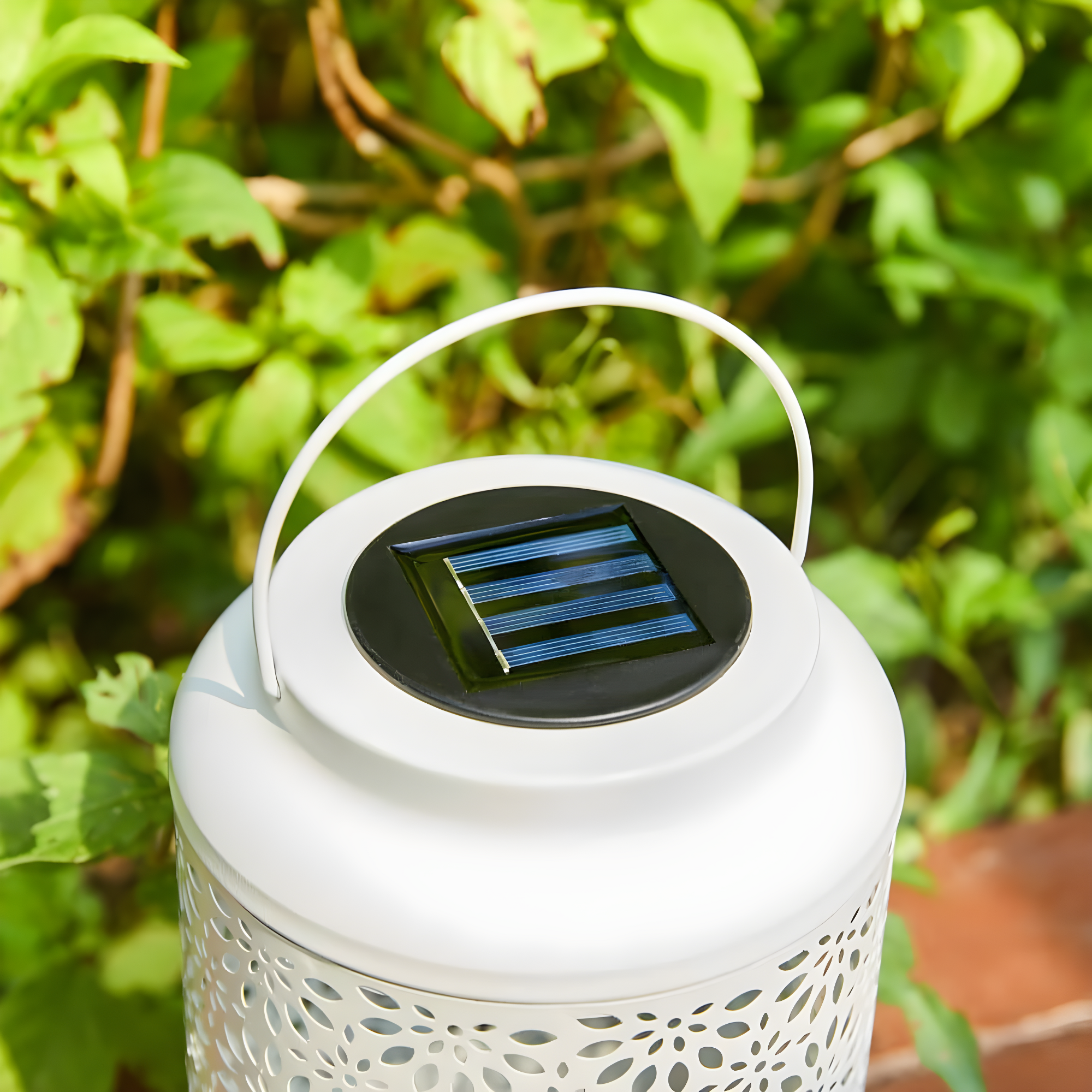 8.75'' Solar Powered Integrated LED Outdoor Lantern