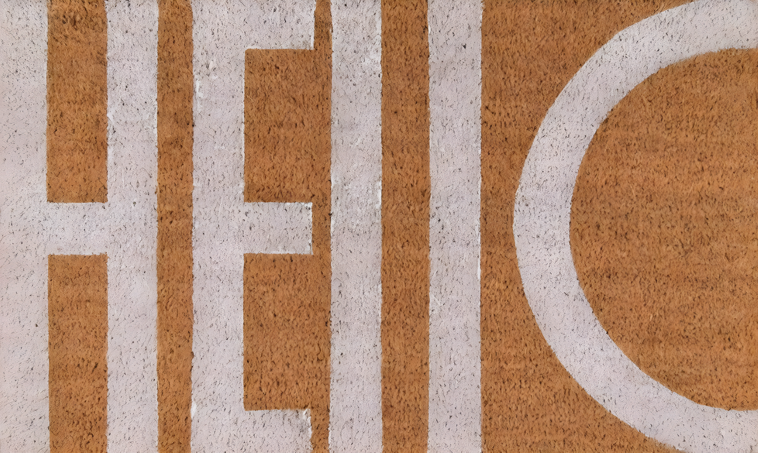 Aloha Indoor/Outdoor Doormat