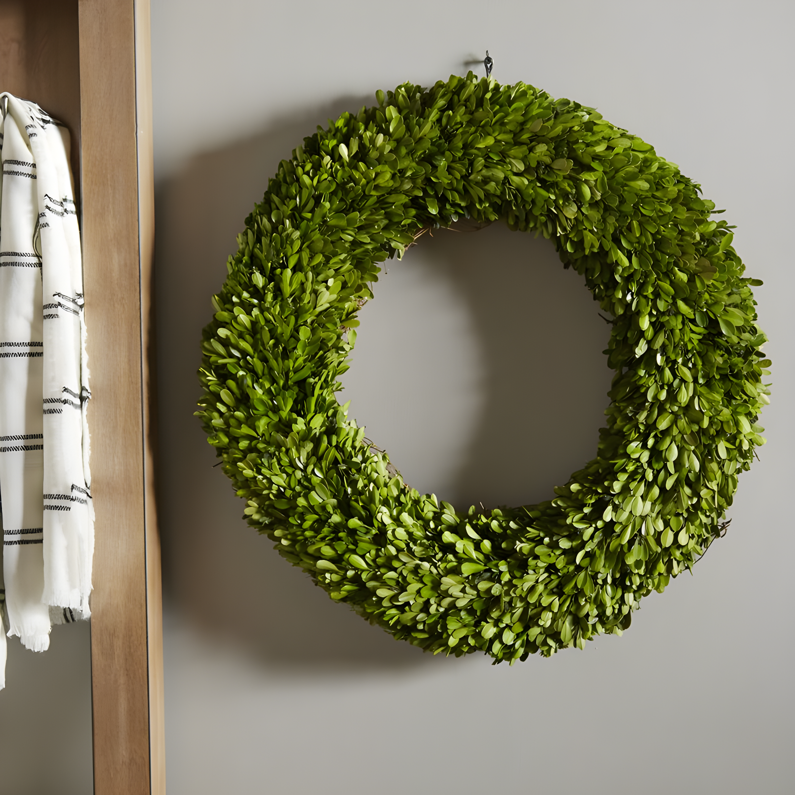 Alby Preserved Boxwood Real Greenery Wreath