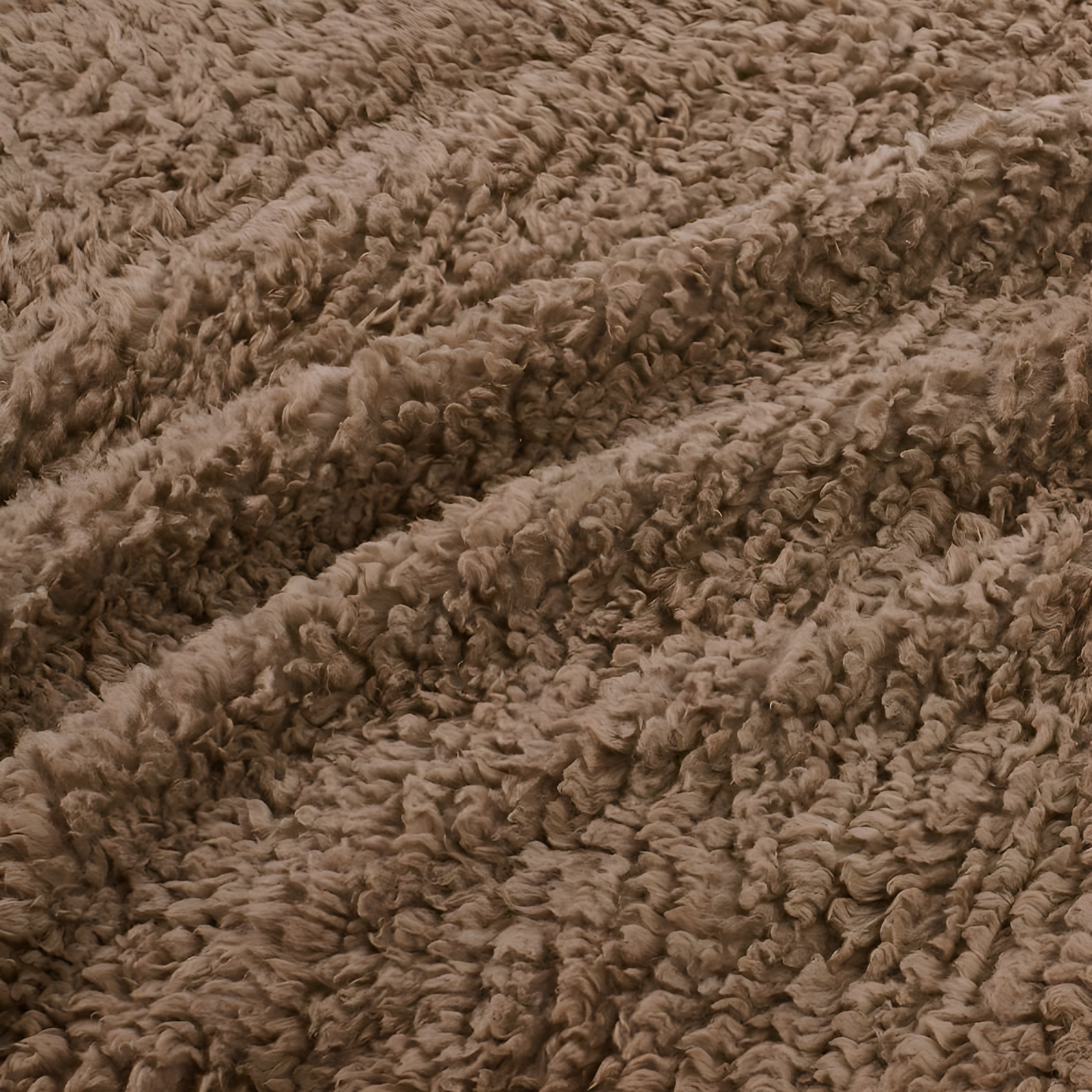 Twin Burlington Berber Bed Blanket Brown: Woolrich Velvet Transitional Style, OEKO-TEX Certified