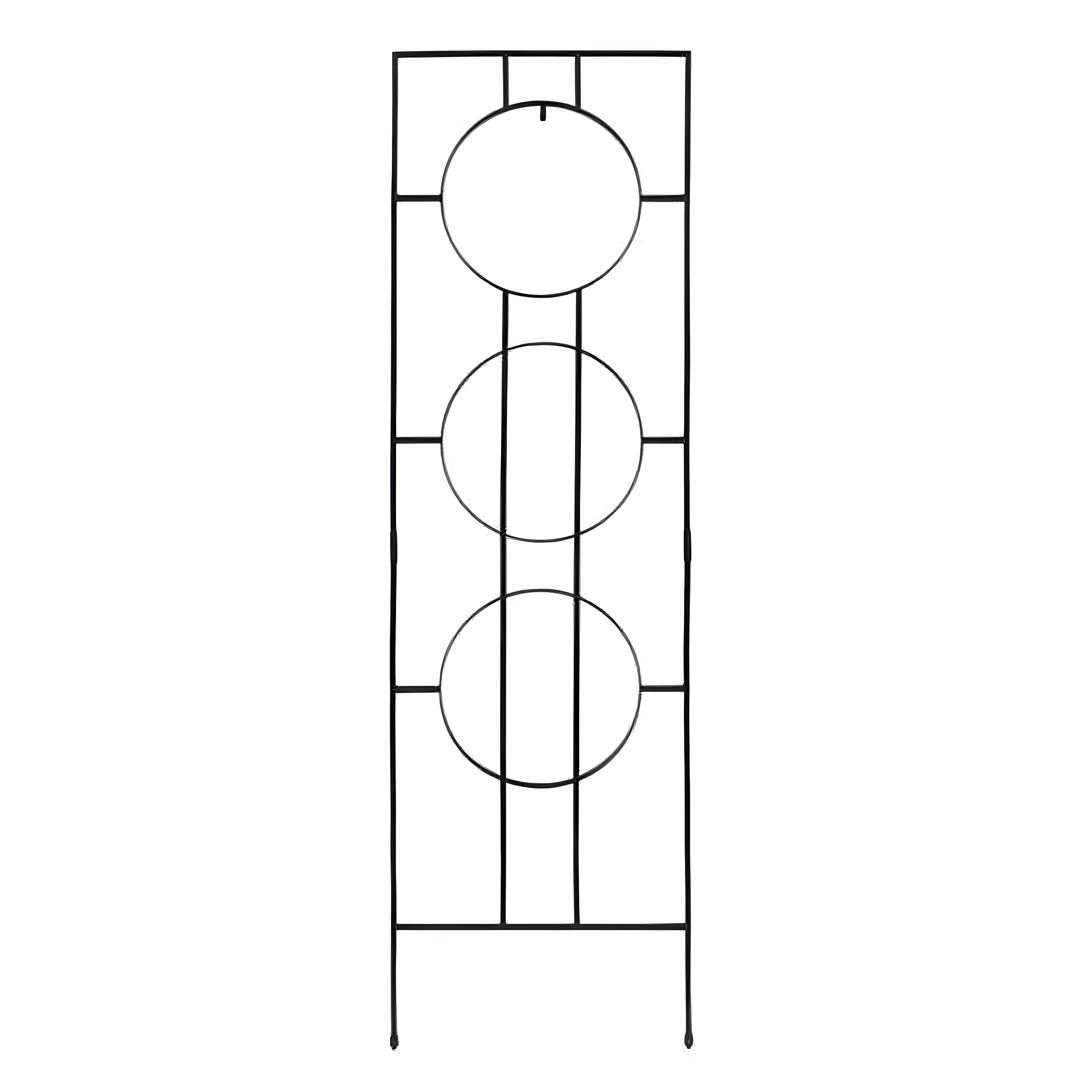 Theodora Trellis