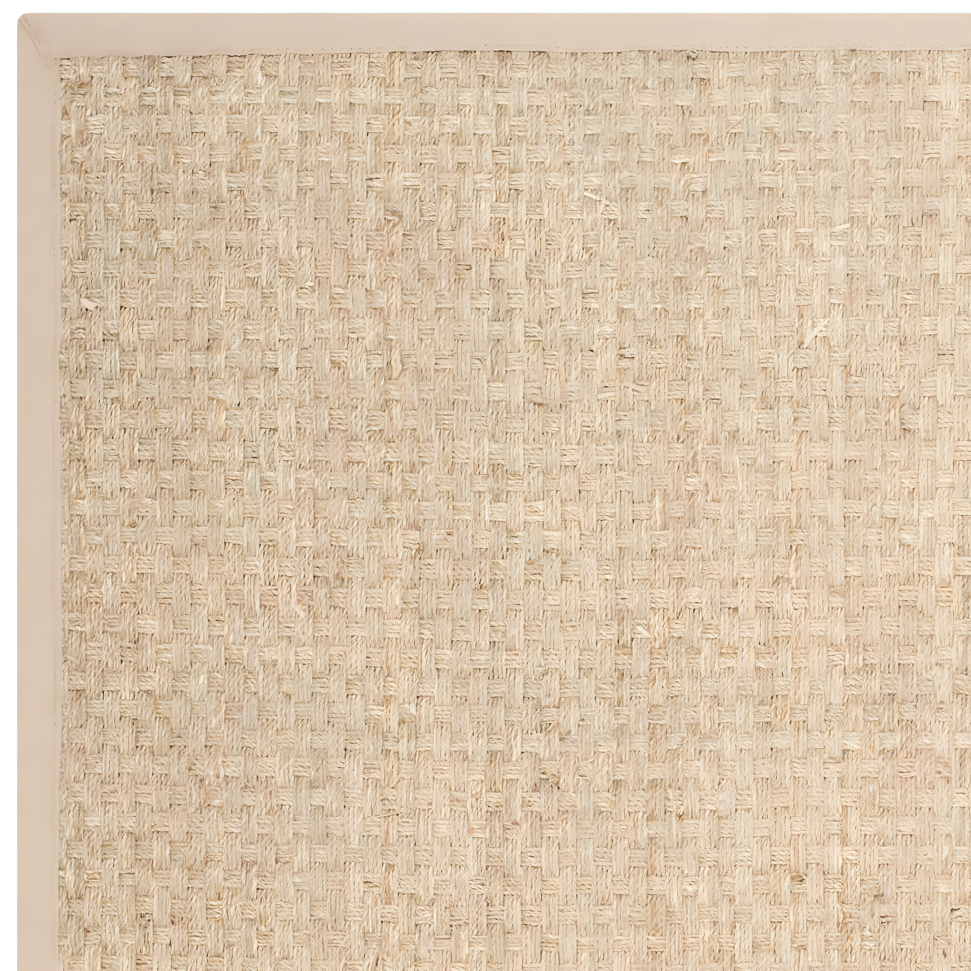 Natural Fiber NF114 Power Loomed Indoor Area Rug - Natural/Beige - 4'x6' - Safavieh.