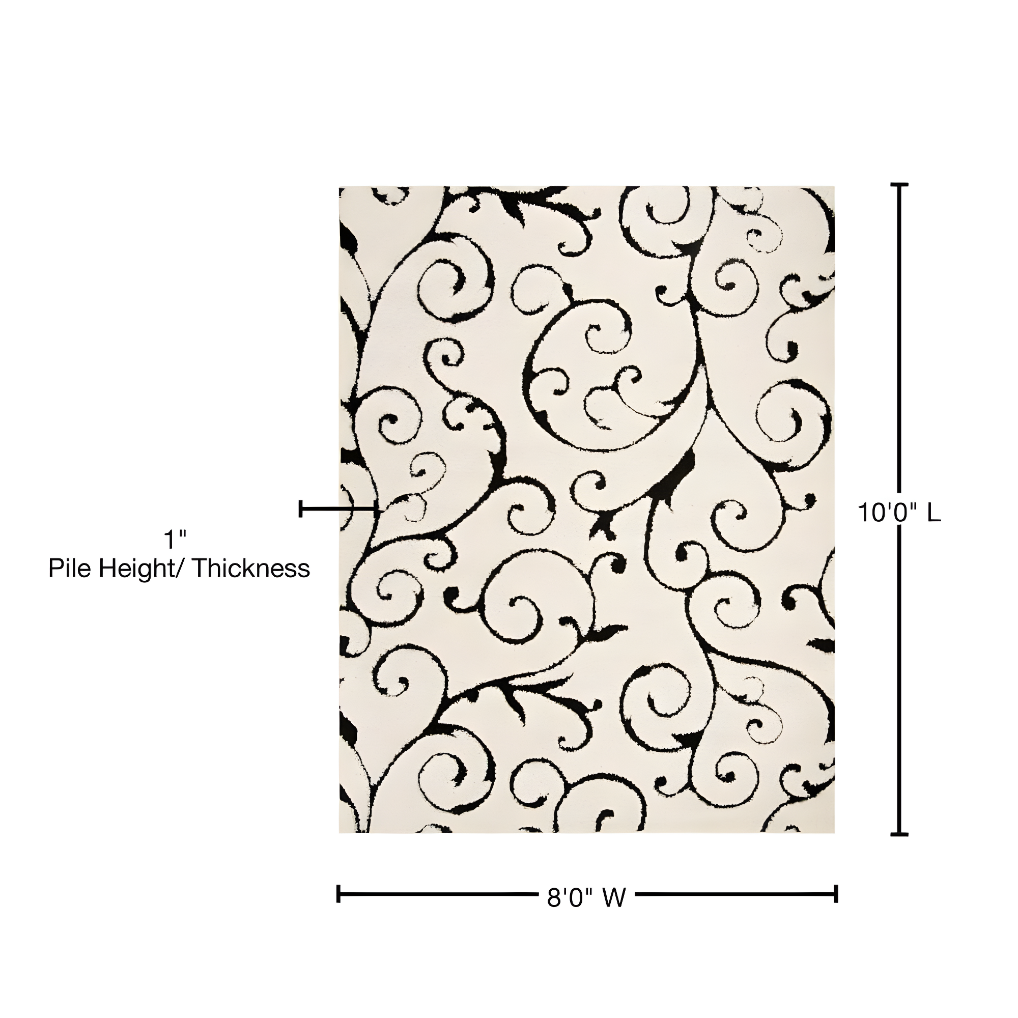 Florida Shag SG455 Power Loomed Indoor Area Rug - Ivory/Black - 8'x10' - Safavieh.