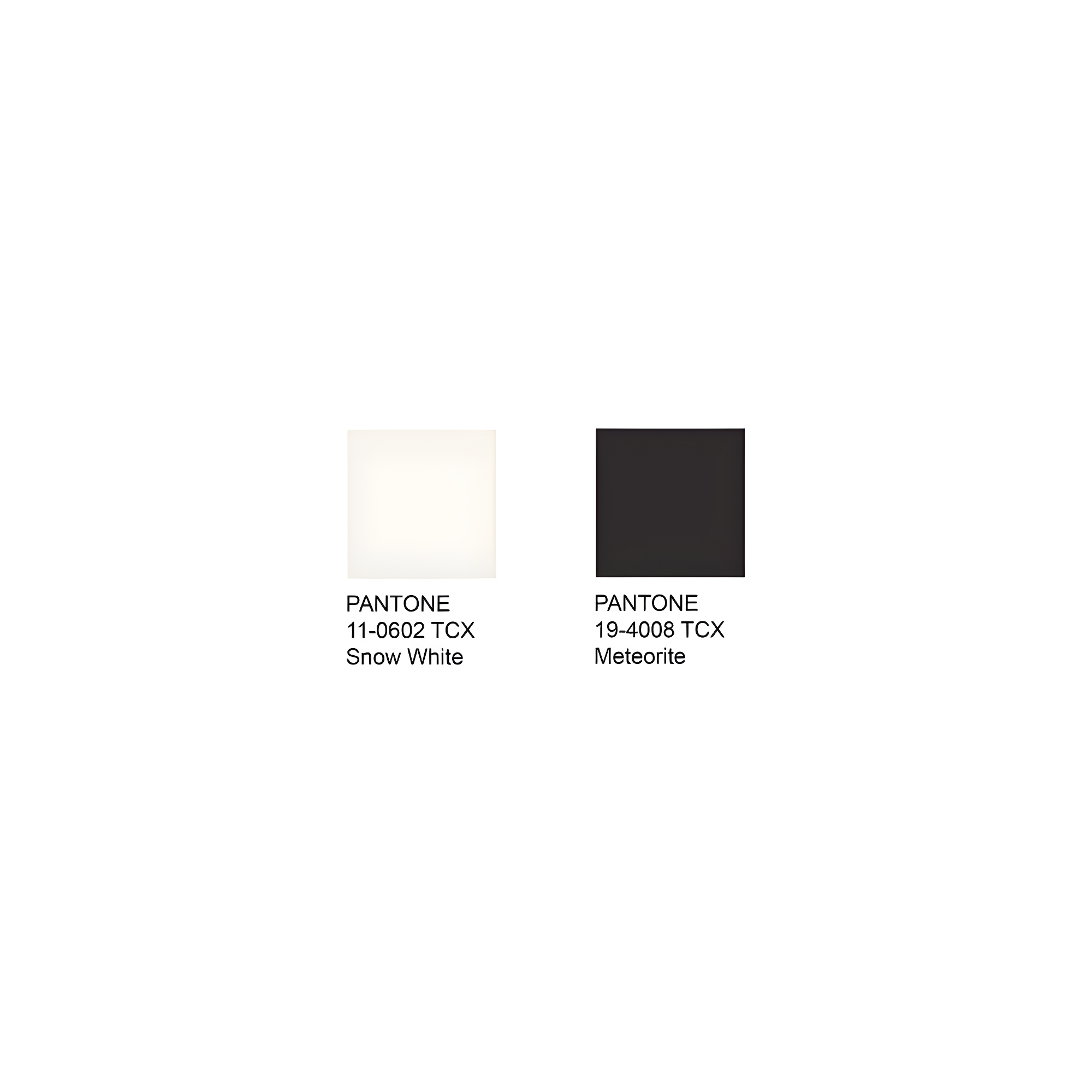 Florida Shag SG455 Power Loomed Indoor Area Rug - Ivory/Black - 8'x10' - Safavieh.
