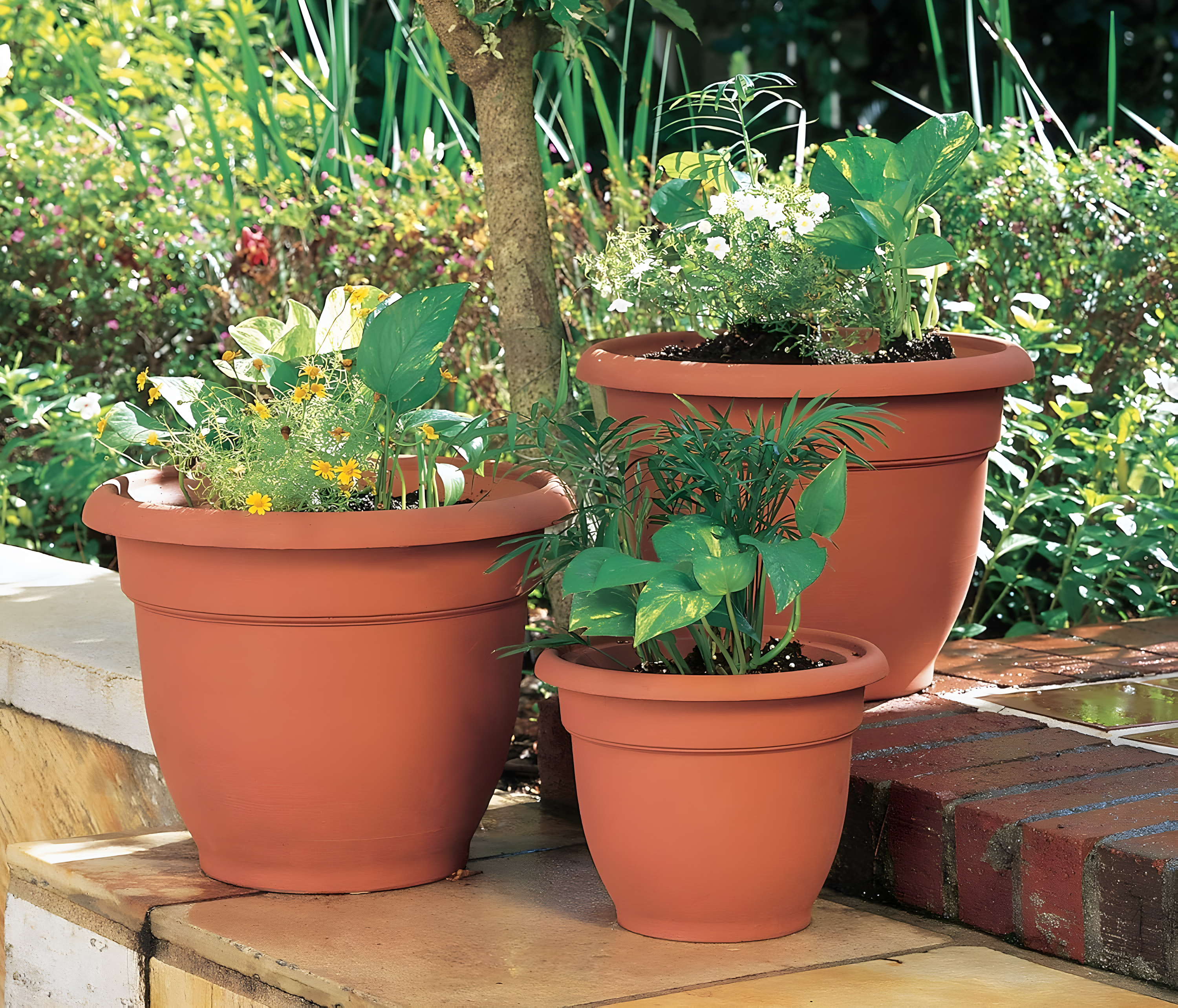 Bloem Ariana Traditional Self-Watering Indoor/Outdoor Pot Planter