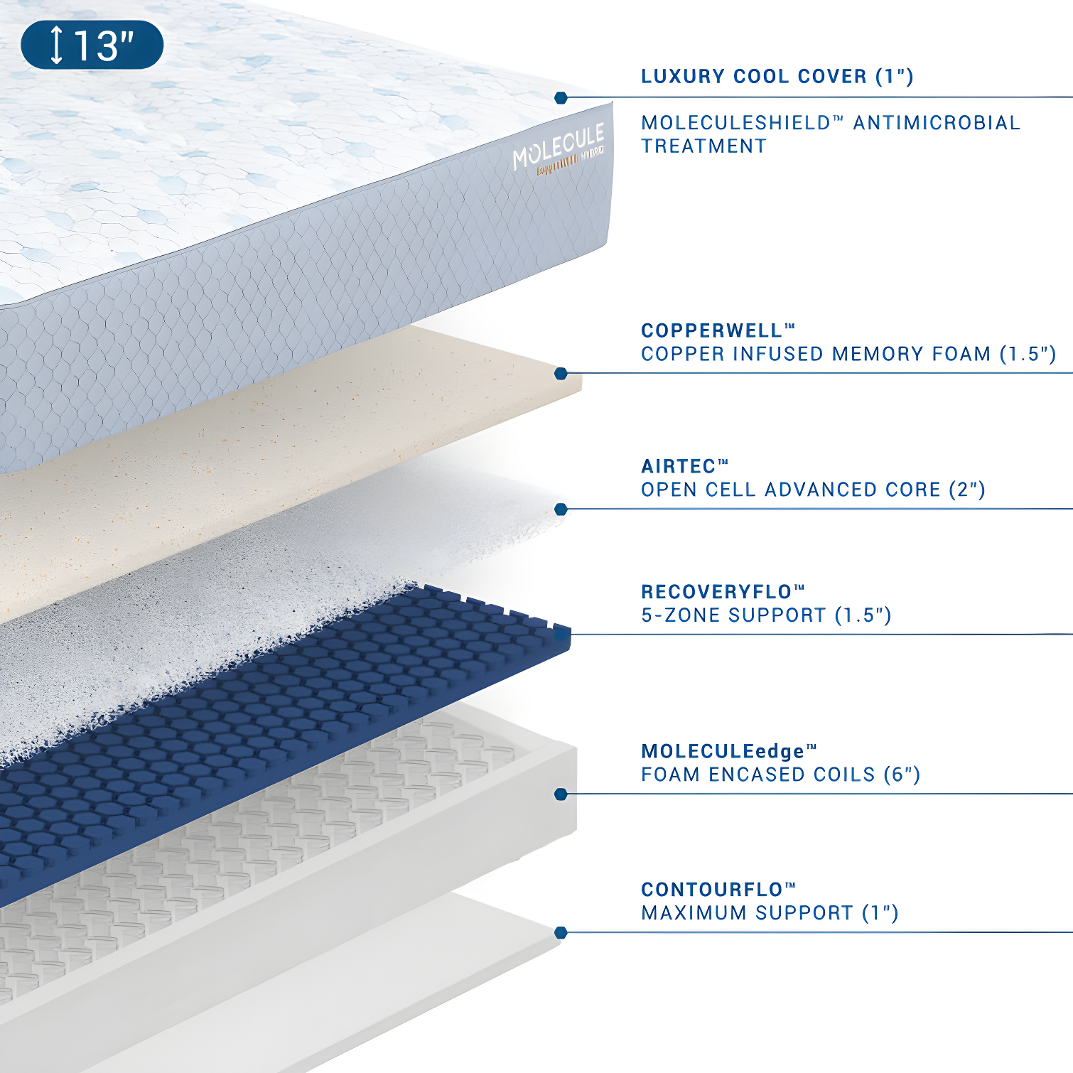 MOLECULE MOLECULE CopperWELL 13" Hybrid Cooling Gel Memory Foam and Encased Coil Medium Firm Mattress