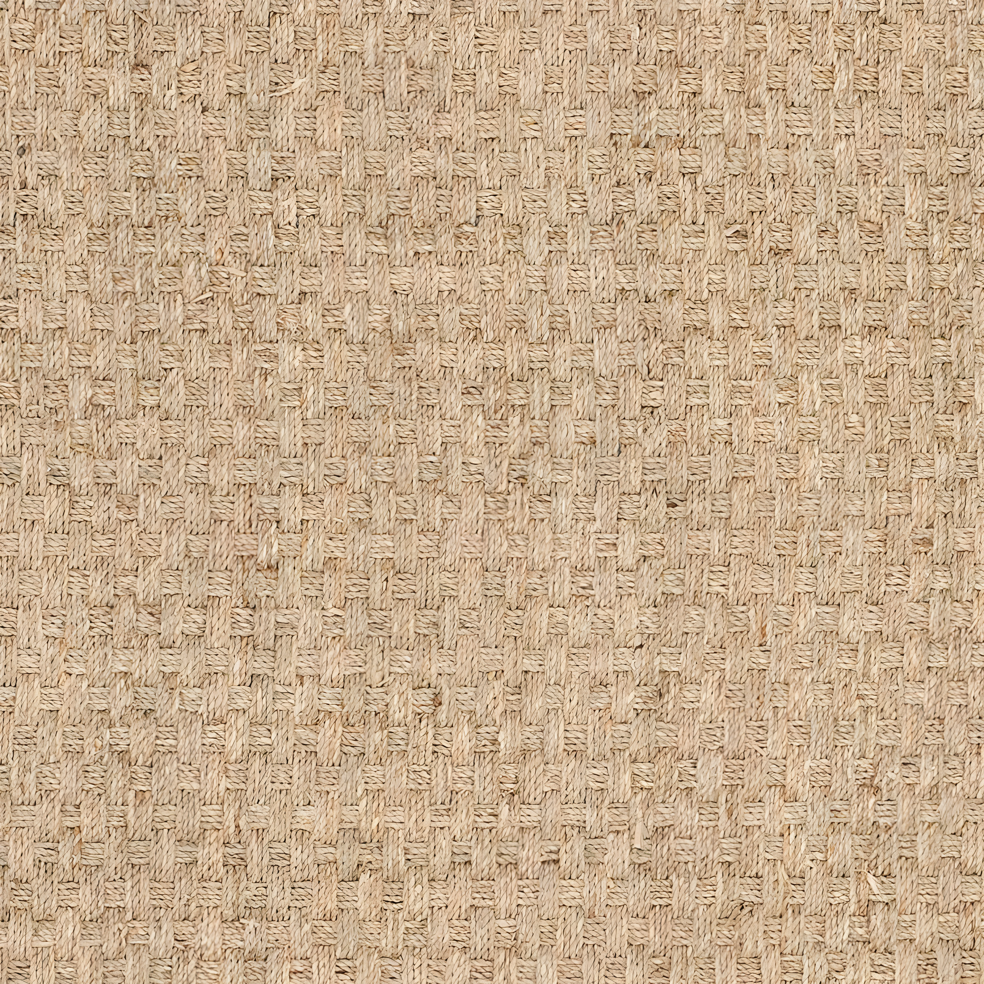 Natural Fiber NF114 Power Loomed Indoor Area Rug - Natural/Dark Brown - 5'x8' - Safavieh.