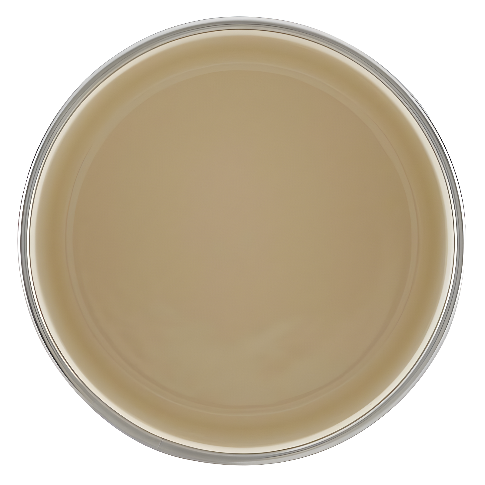 Ayesha Curry Ayesha Curry Enamel on Steel Bacon Grease Can, 4-Inch x 4-Inch
