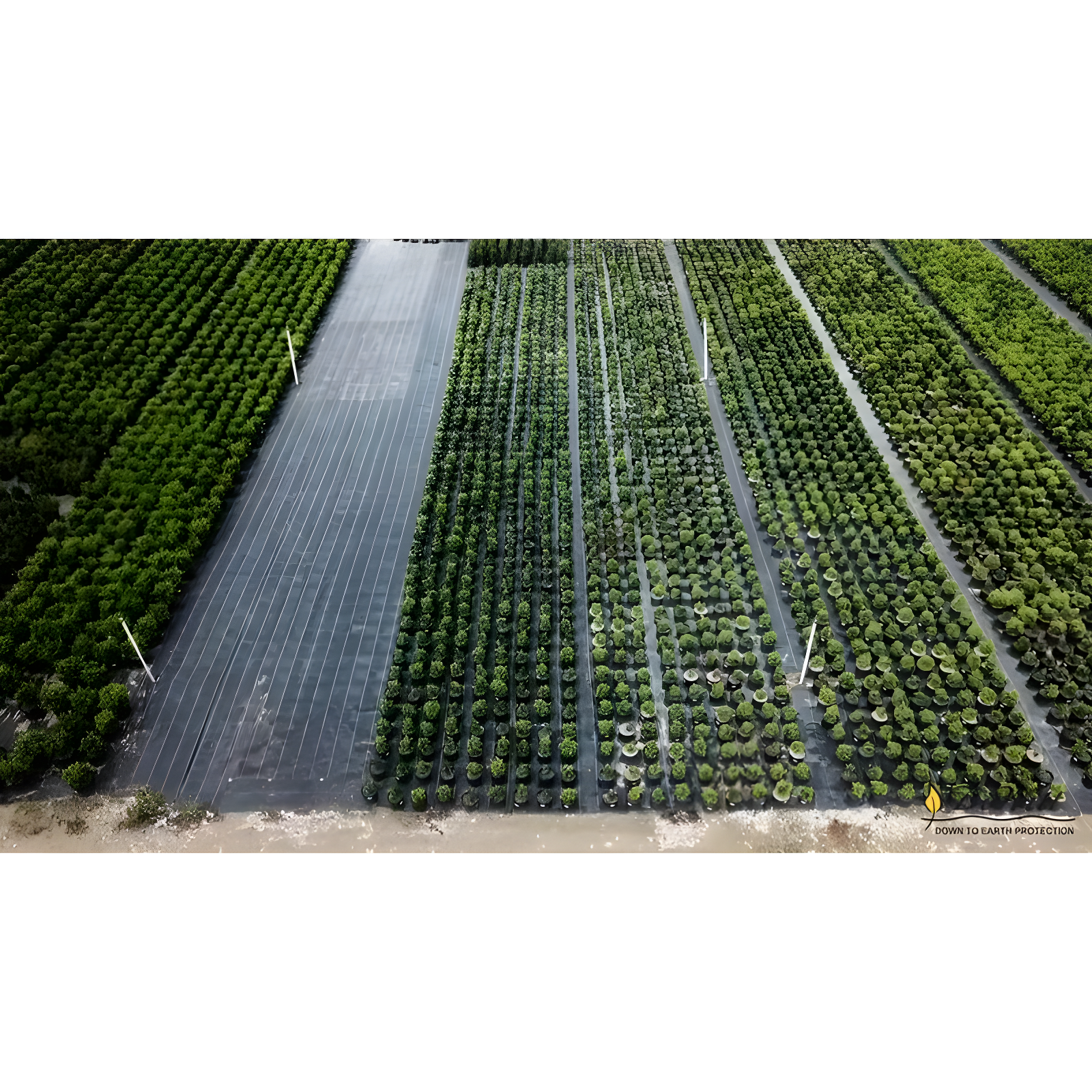 DeWitt Company, Inc. DeWitt Sunbelt Woven Weed Barrier Landscape Fabric Ground Cover (Set of 2)