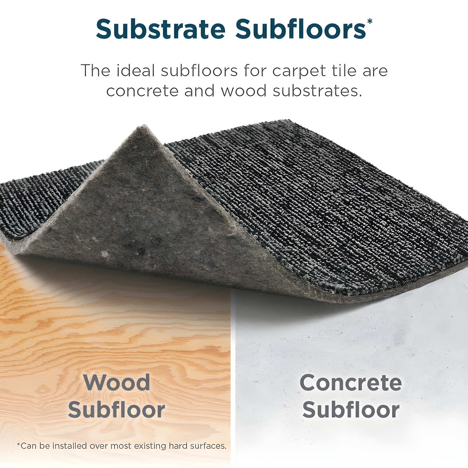 Shaw Apollo 24-in x 24-in Multi-Level Loop Adhesive Carpet Tile (48-sq ft)