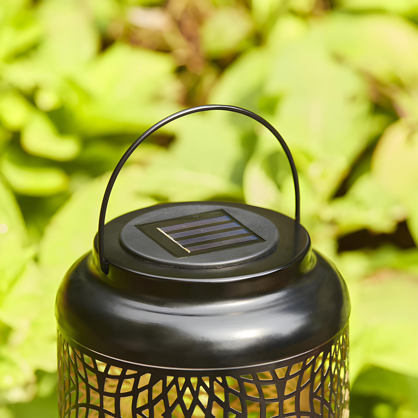 Winston Porter 8.75"H Metal Cutout Solar Powered Outdoor Hanging Lantern