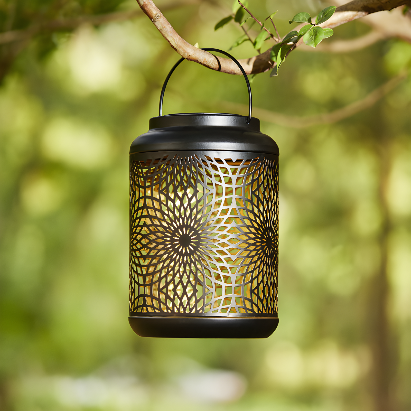 Winston Porter 8.75"H Metal Cutout Solar Powered Outdoor Hanging Lantern