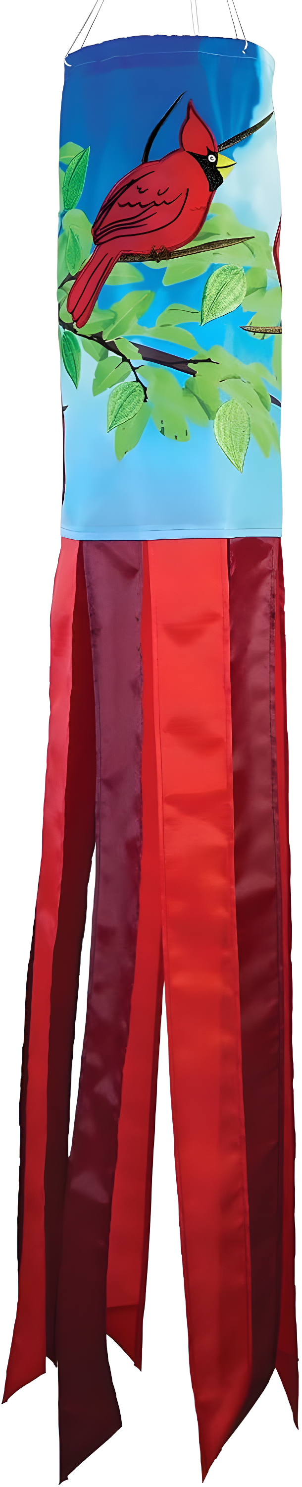 In The Breeze Double Sided 40'' H x 6'' W Polyester Wind Sock