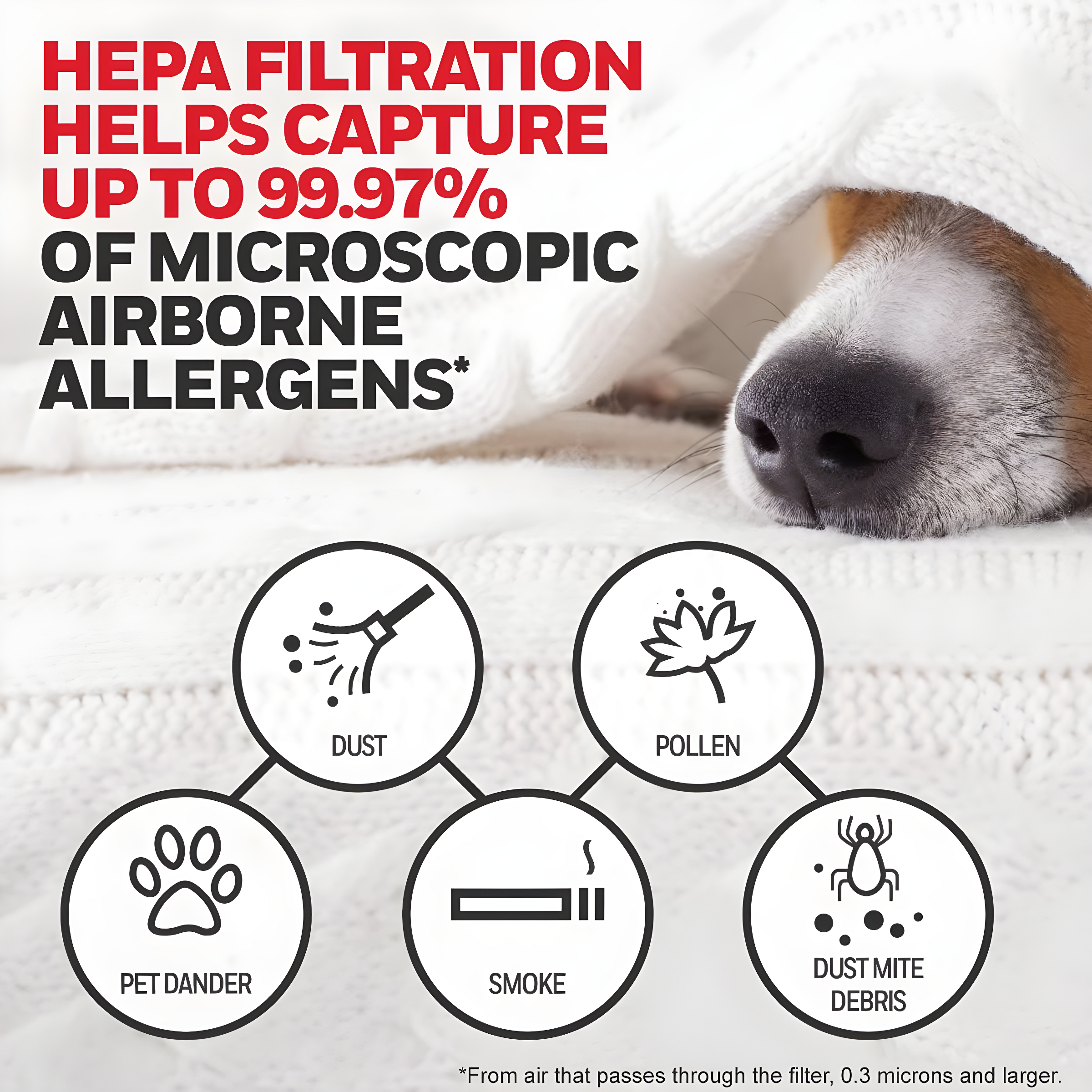 Honeywell HEPA Air Purifier Filter Value Kit with A and R Filters: Replacement for HPA200, HPA3100B, Captures Allergens