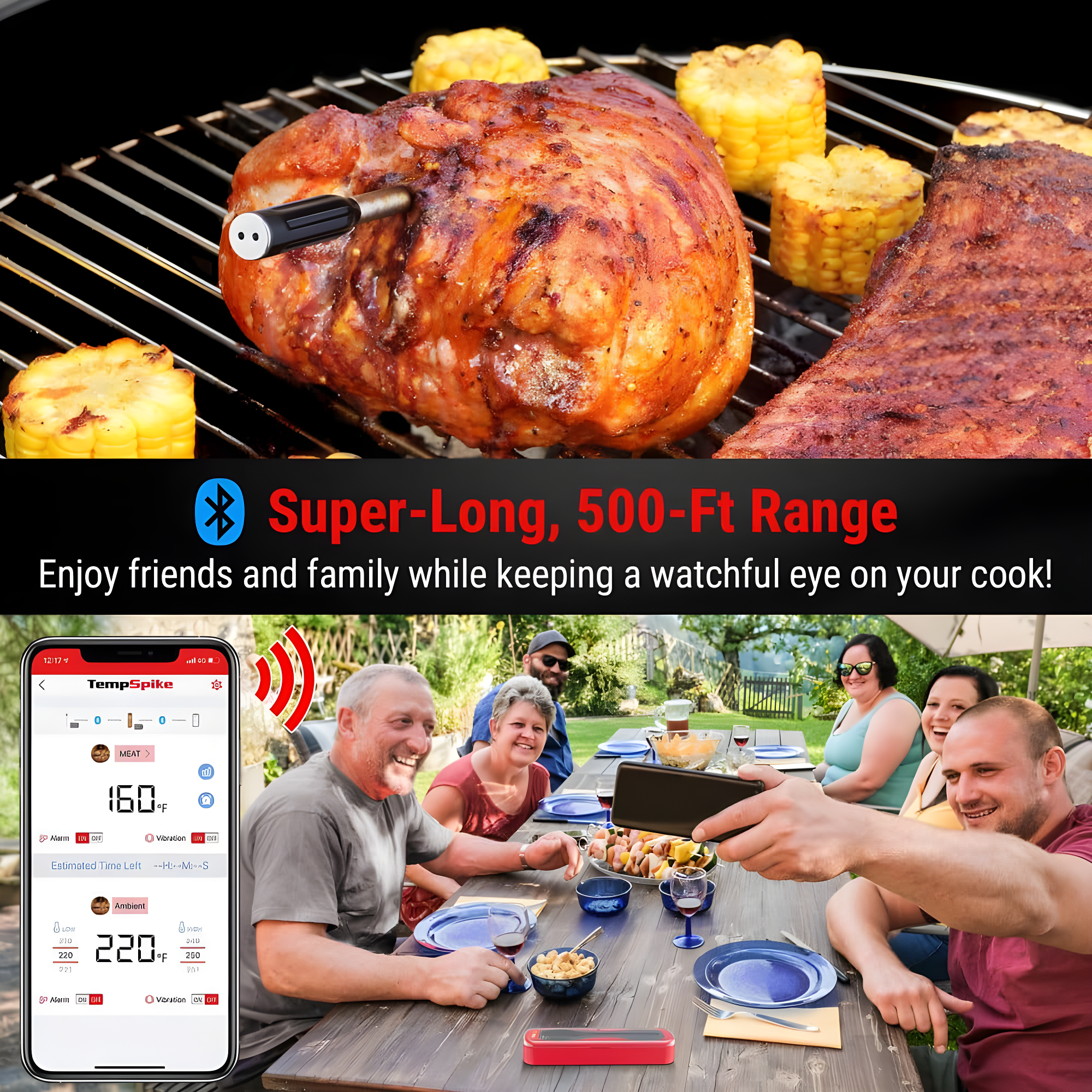ThermoPro Thermometer