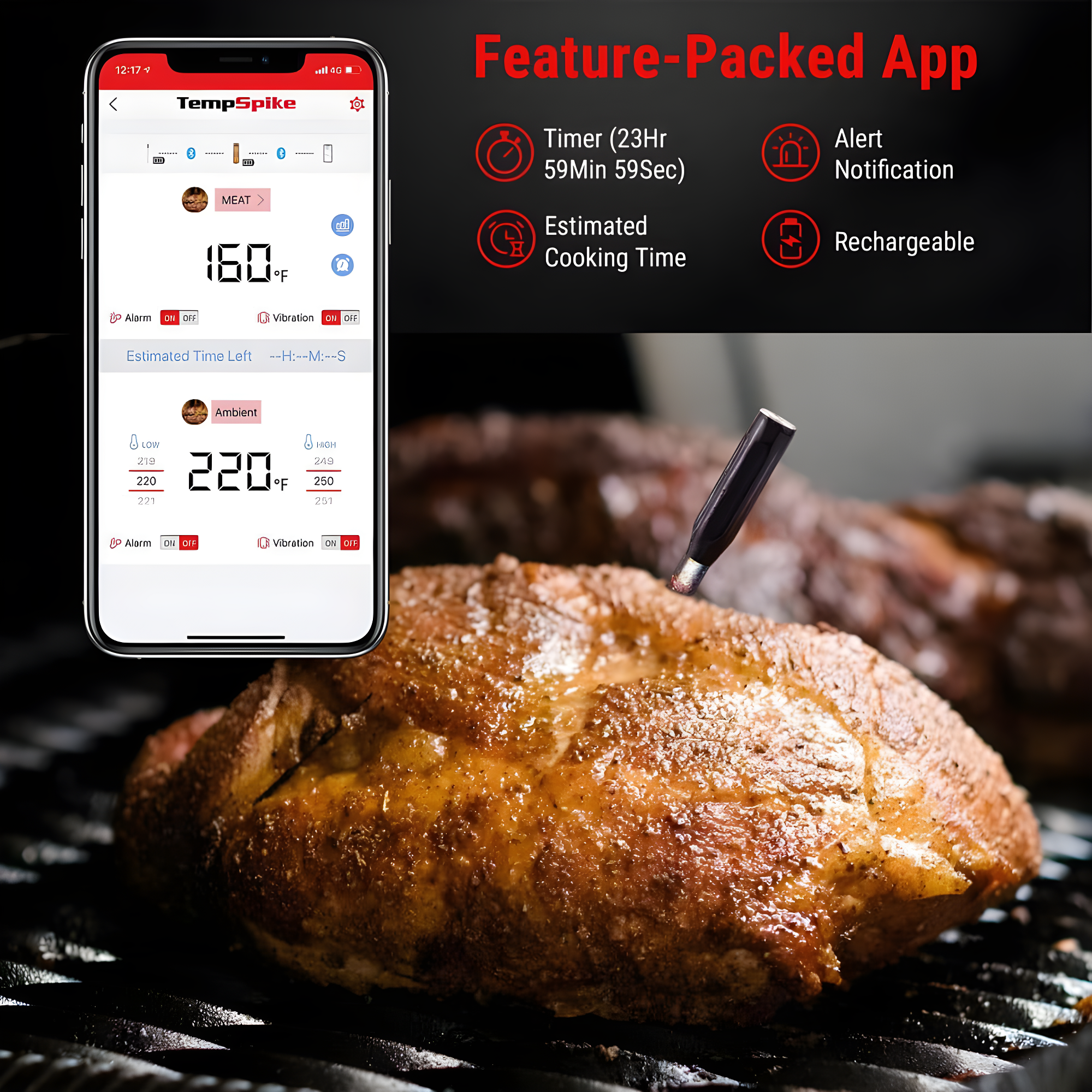 ThermoPro Thermometer