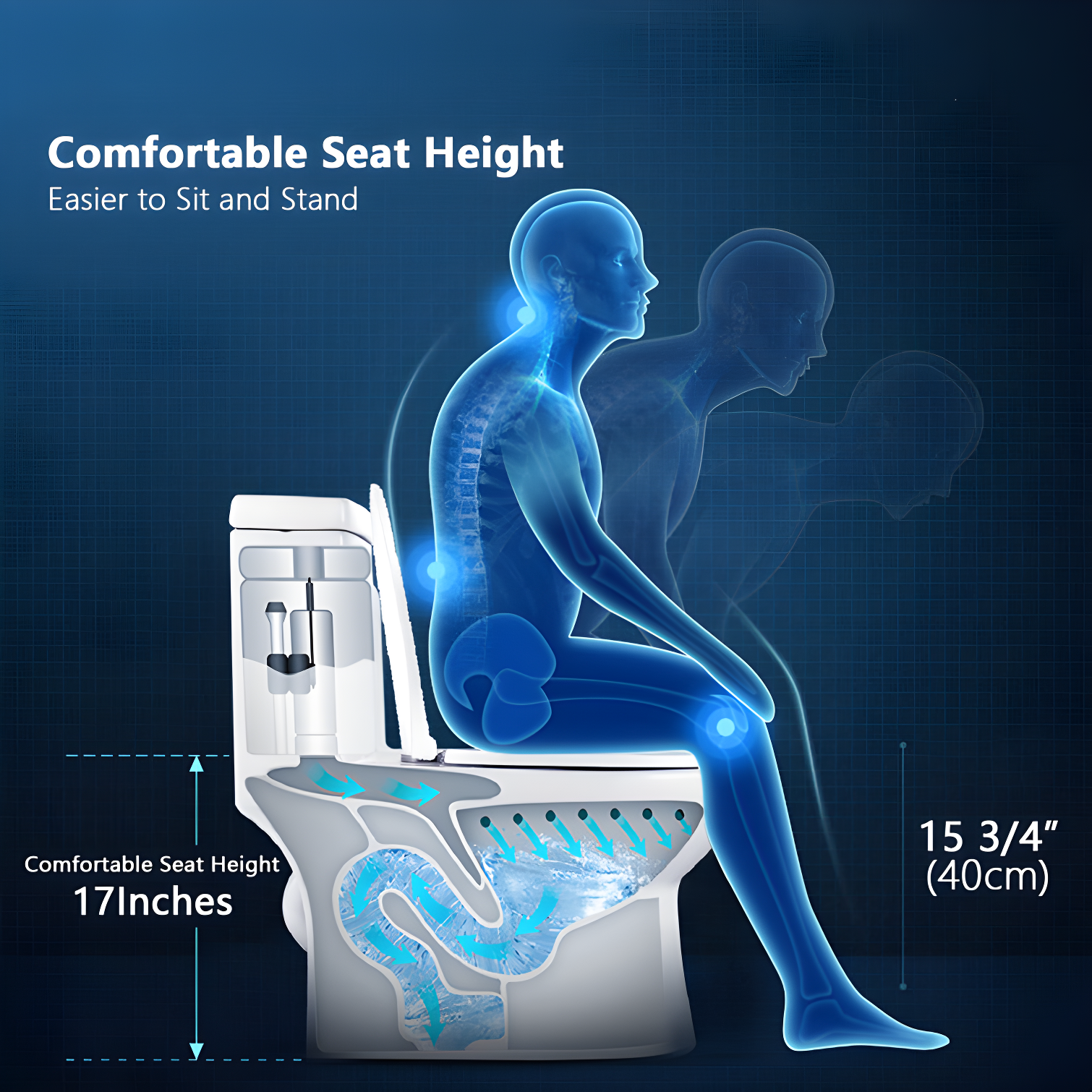 Ally Standard Bathroom Toielt, Modern Toilet with Comfort Chair Height Floor Mounted(Seat Included)
