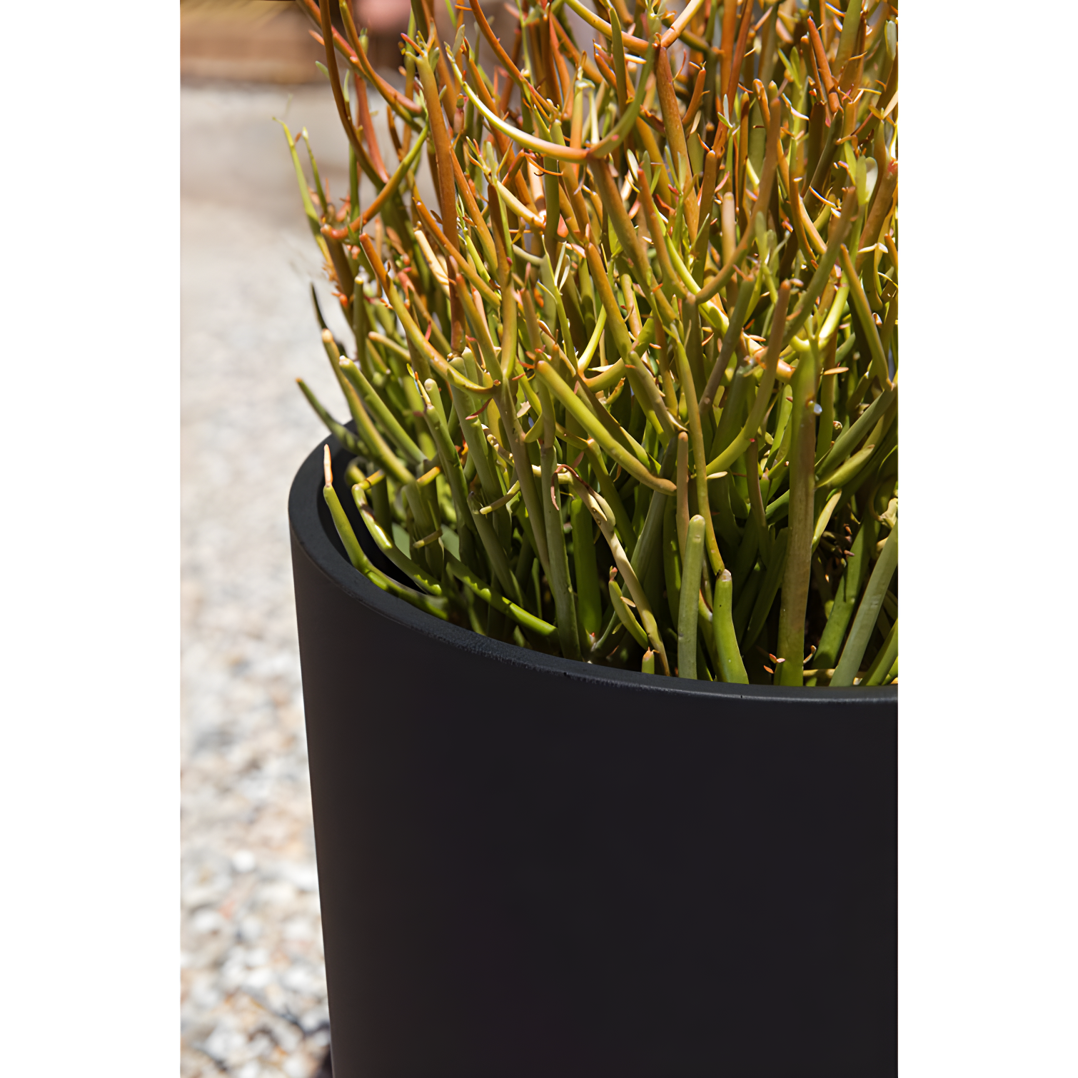Mason Series Kona Planter