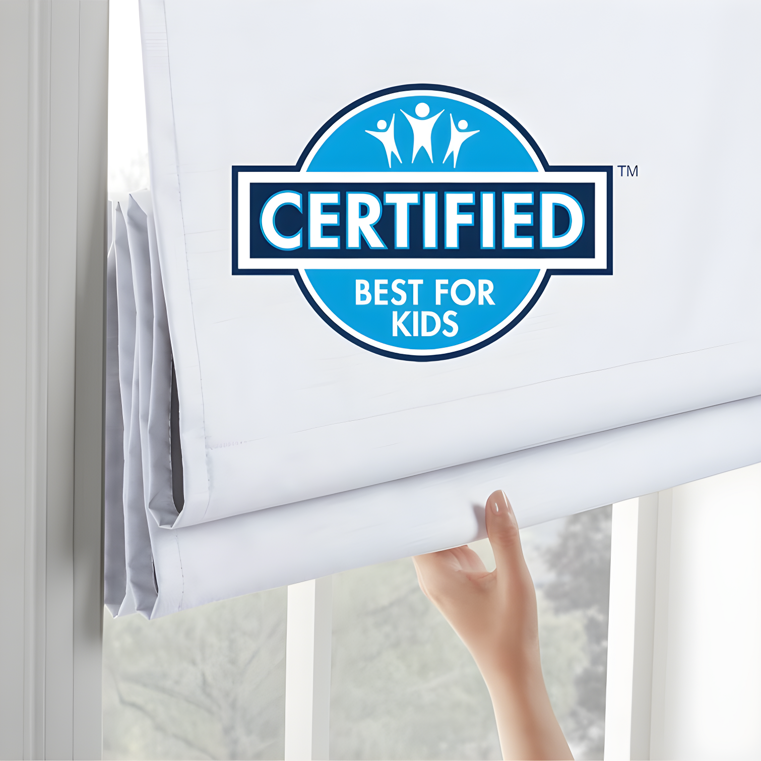 Eclipse Blackout Roman Shade