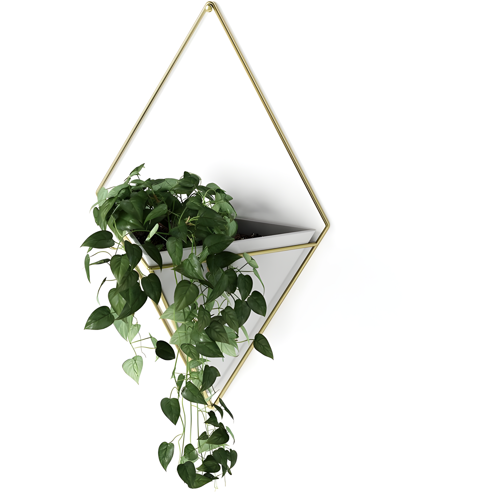 Umbra Trigg Planter Wall Decor & Reviews | Wayfair