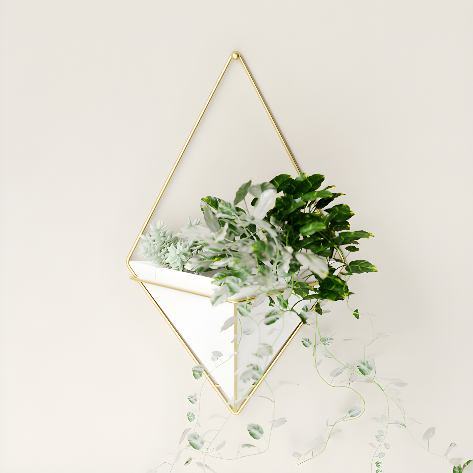 Umbra Trigg Planter Wall Decor & Reviews | Wayfair