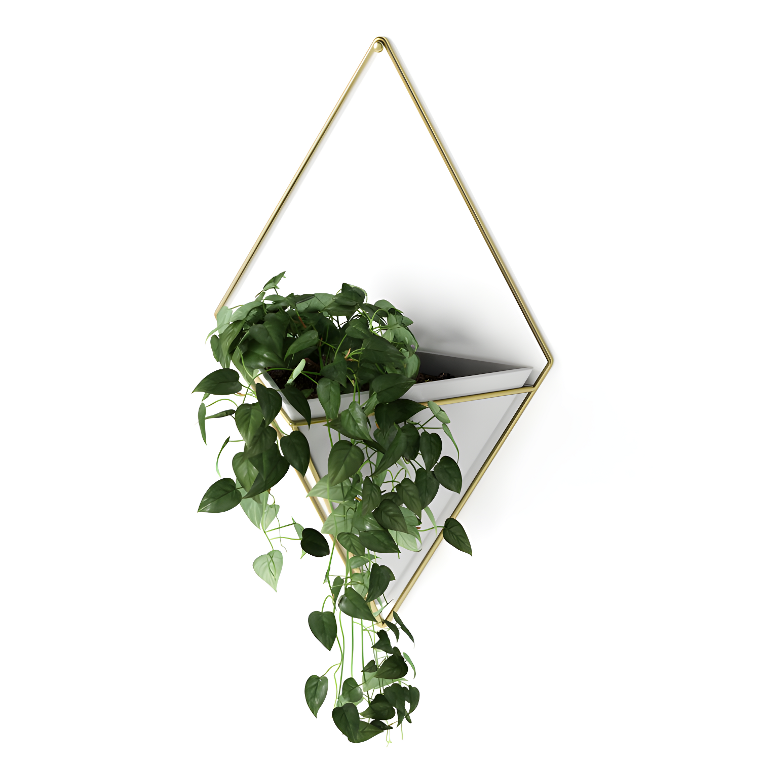 Umbra Trigg Planter Wall Decor & Reviews | Wayfair