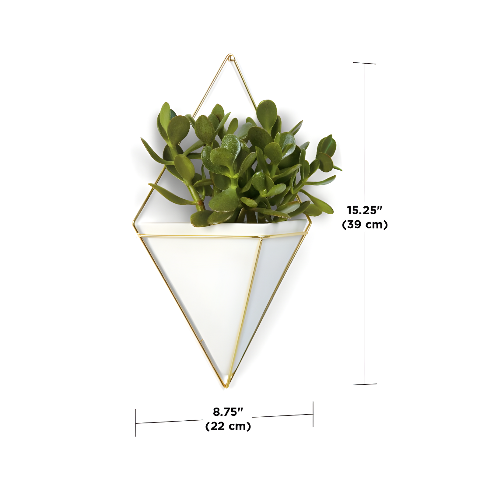 Umbra Trigg Planter Wall Decor & Reviews | Wayfair