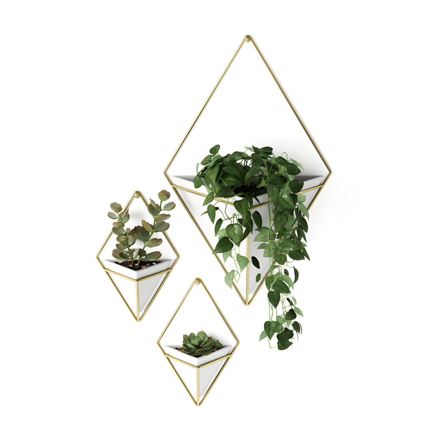 Umbra Trigg Planter Wall Decor & Reviews | Wayfair