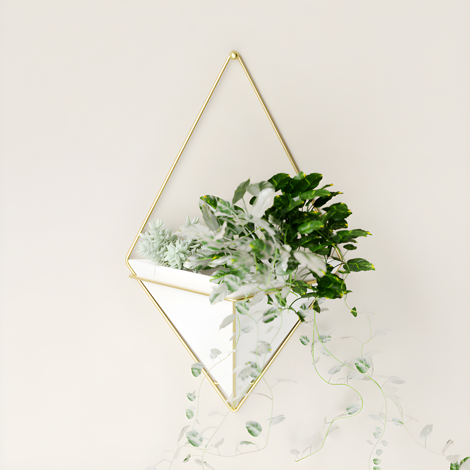 Umbra Trigg Planter Wall Decor & Reviews | Wayfair