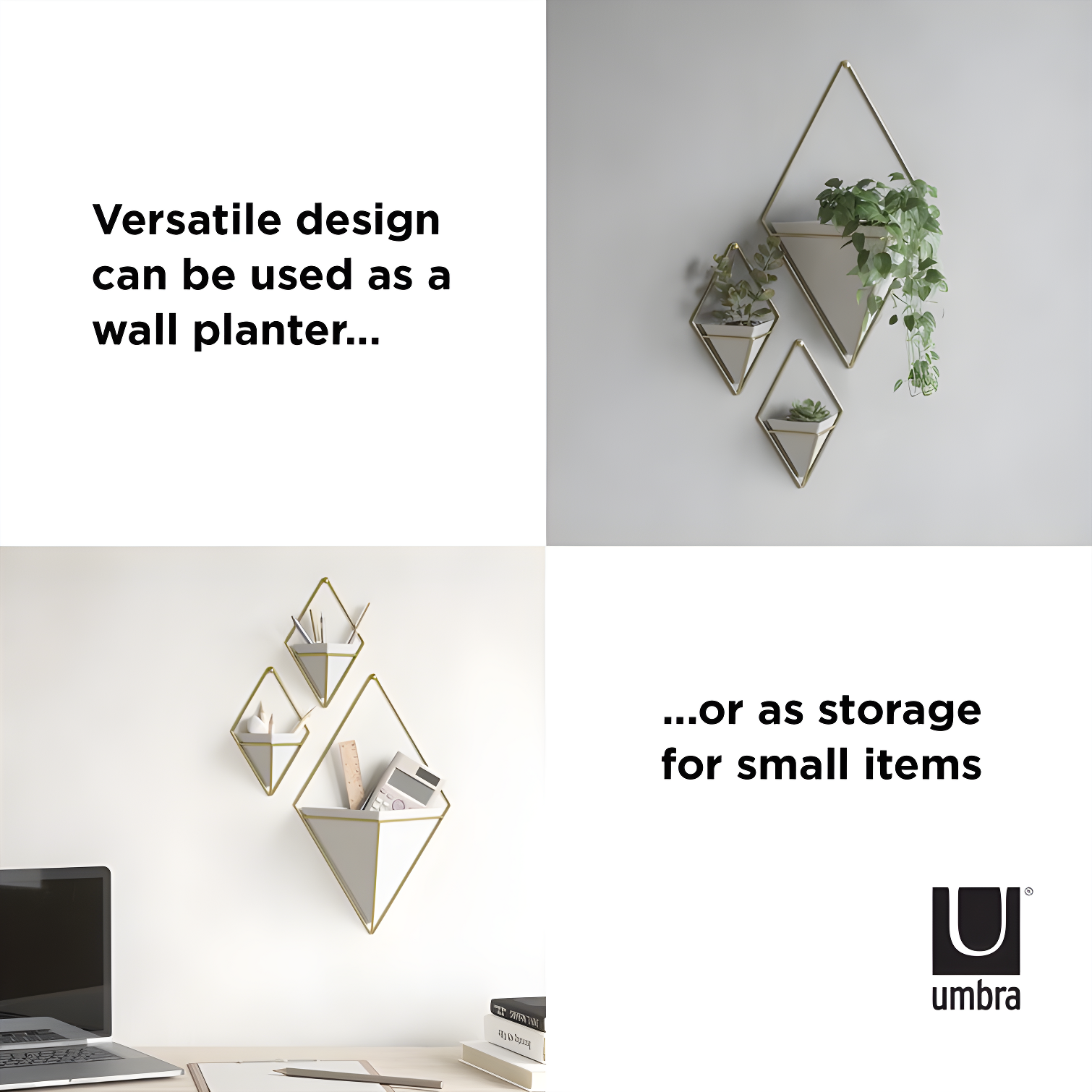 Umbra Trigg Planter Wall Decor & Reviews | Wayfair
