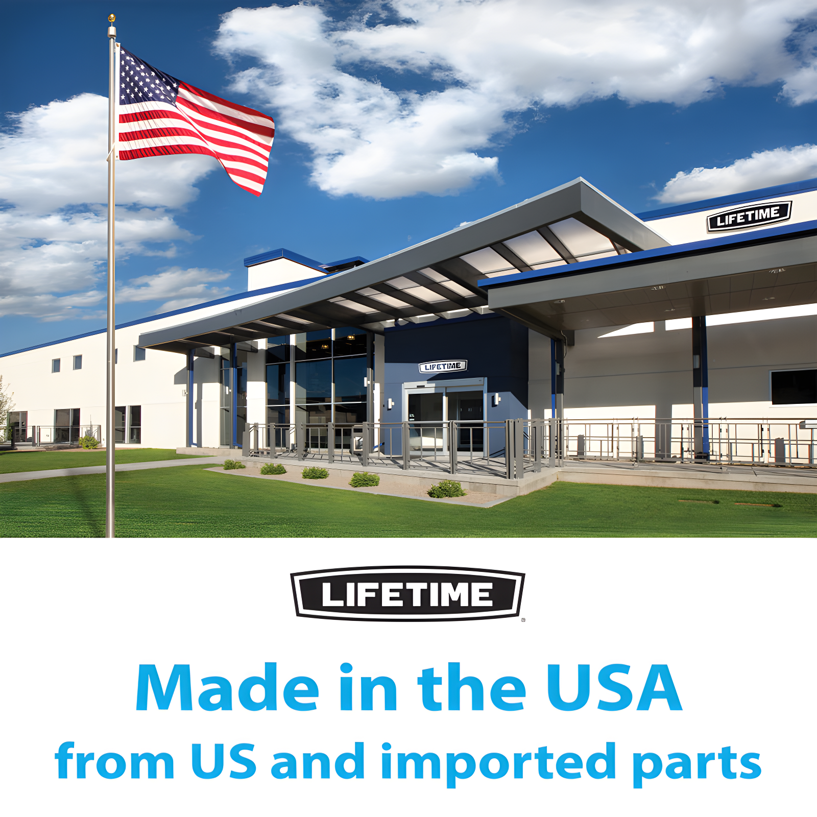 Lifetime Lifetime Height Adjustable Portable Basketball Hoop (50" Polycarbonate Backboard)