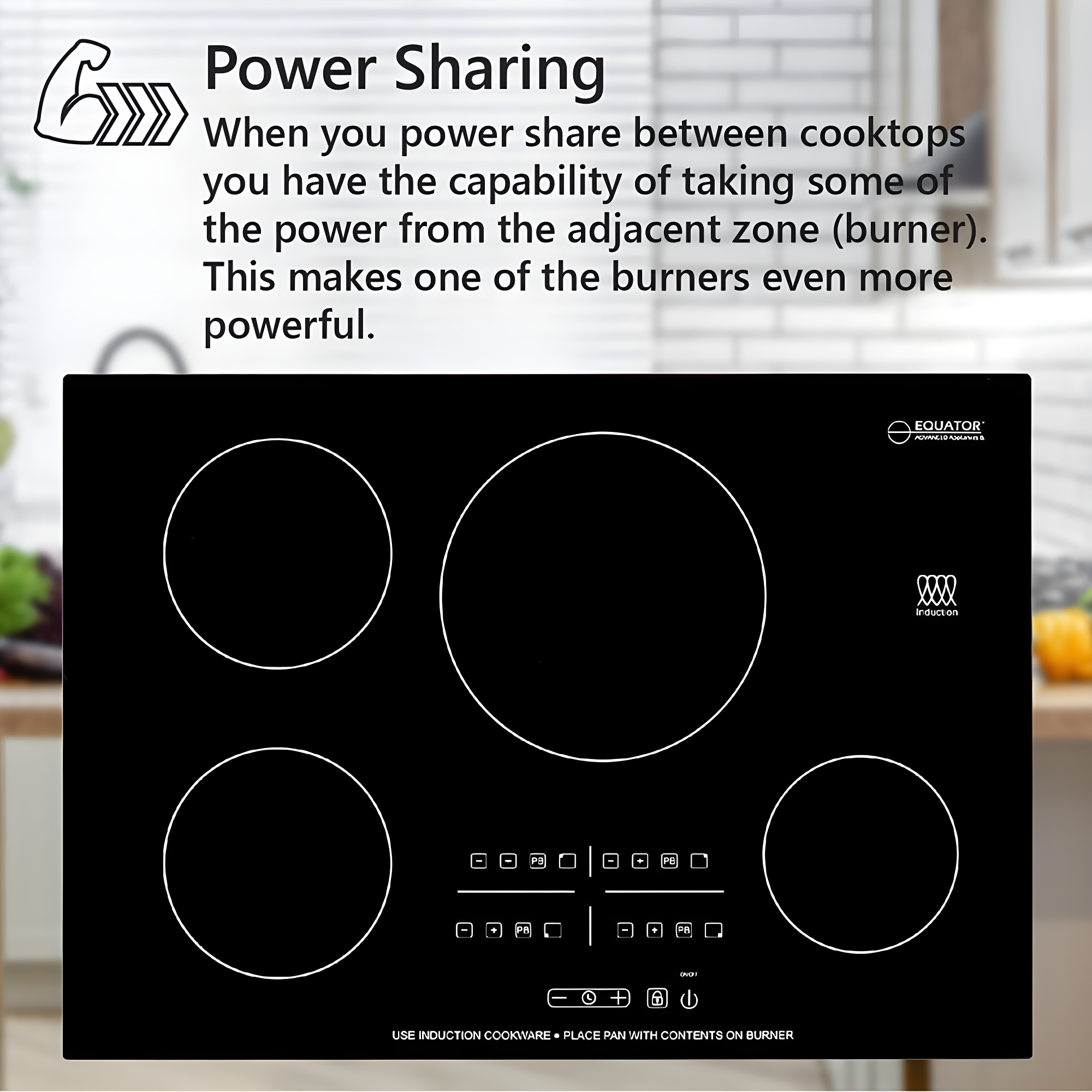 Equator Advanced Appliances Equator 30" Built-In 4 Burner Induction Cooktop POWER BOOST Keep Warm 240V/7400W BIC 304