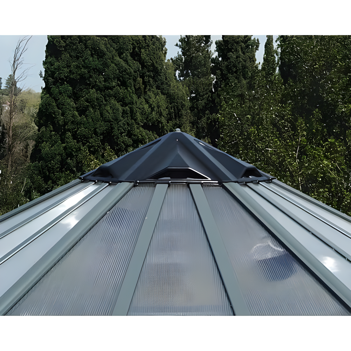 Canopia Palram - Canopia Oasis 12' x 10' Hexagonal Walk-In Hobby Polycarbonate Aluminum Frame Greenhouse Outdoor Living Structure - Gray