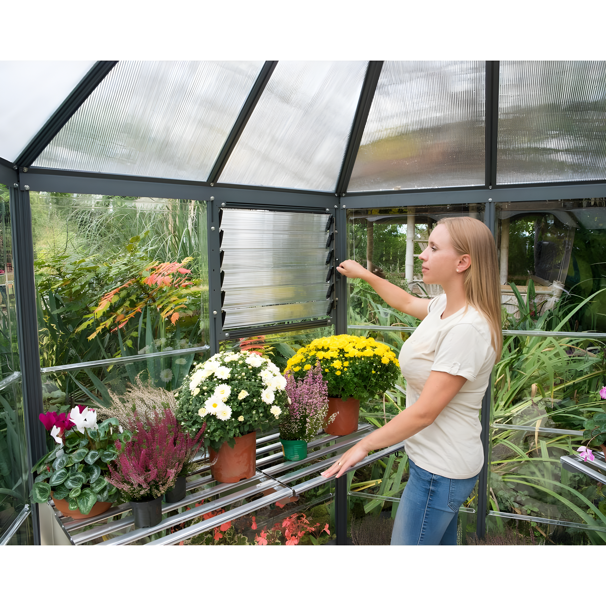 Canopia Palram - Canopia Oasis 12' x 10' Hexagonal Walk-In Hobby Polycarbonate Aluminum Frame Greenhouse Outdoor Living Structure - Gray