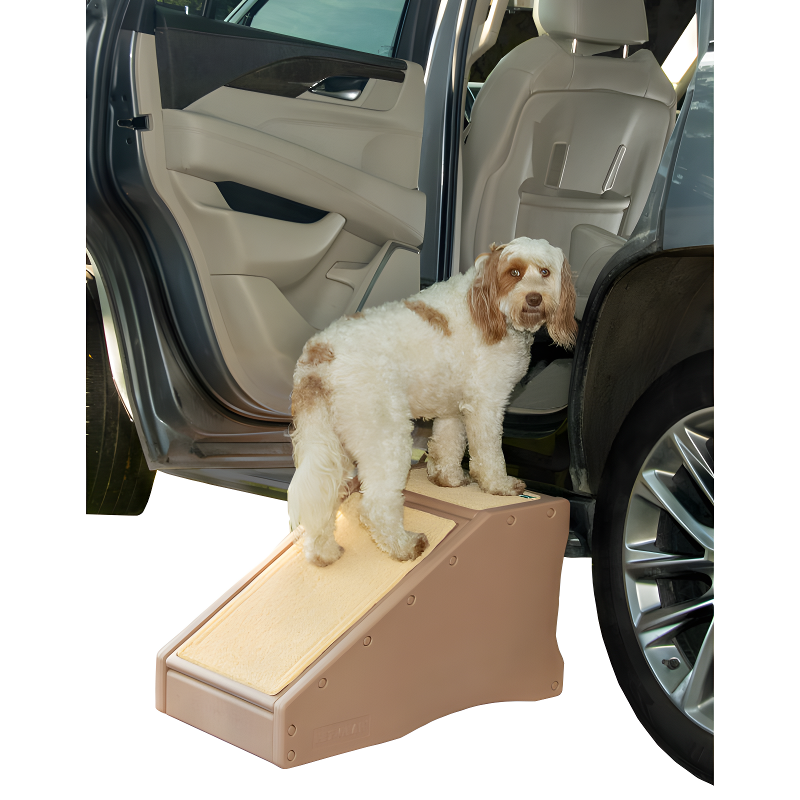 Pet Gear Stramp Stair and Ramp Combination for Dogs/Cats