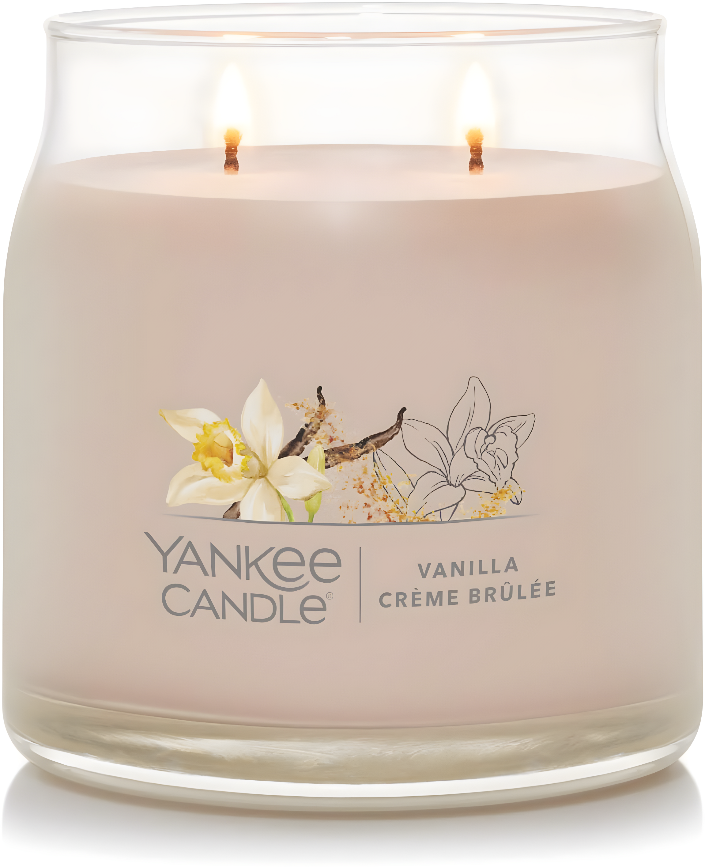 YANKEE CANDLE Signature Vanilla Crème Brulée Scented Candle