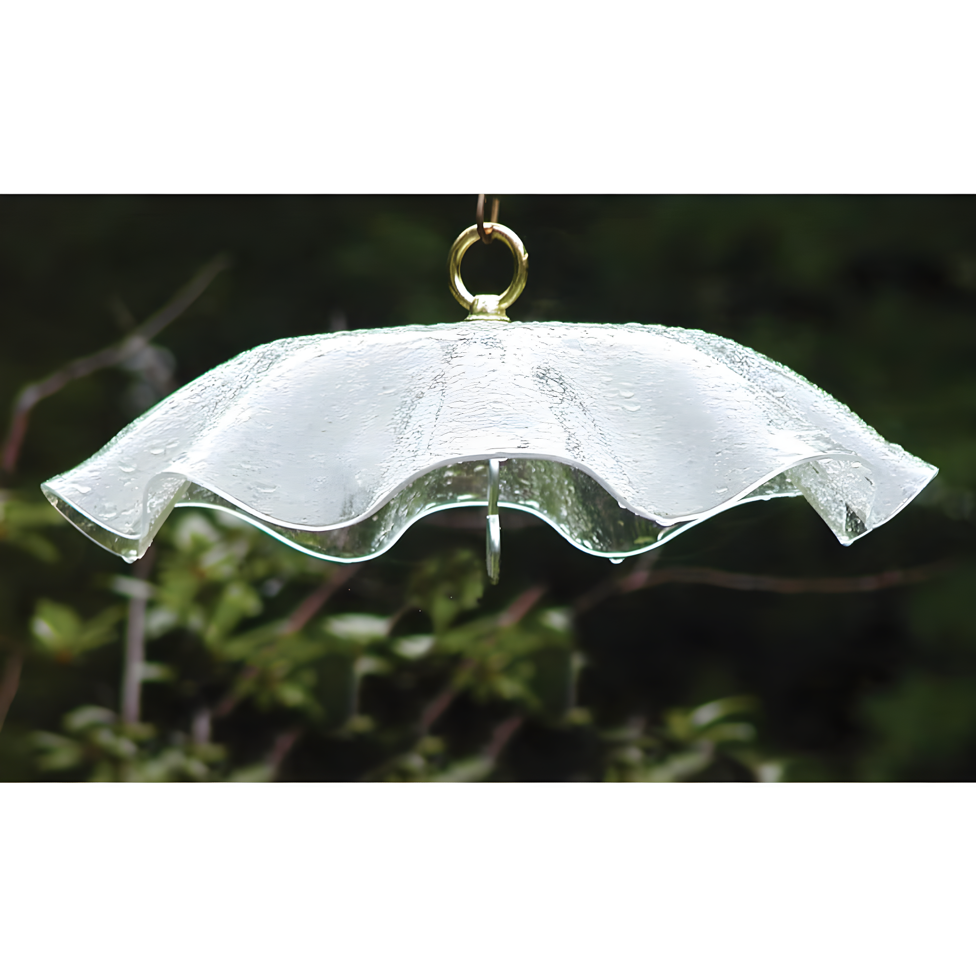 Weather-Resistant Acrylic Bird Weatherguard Cover