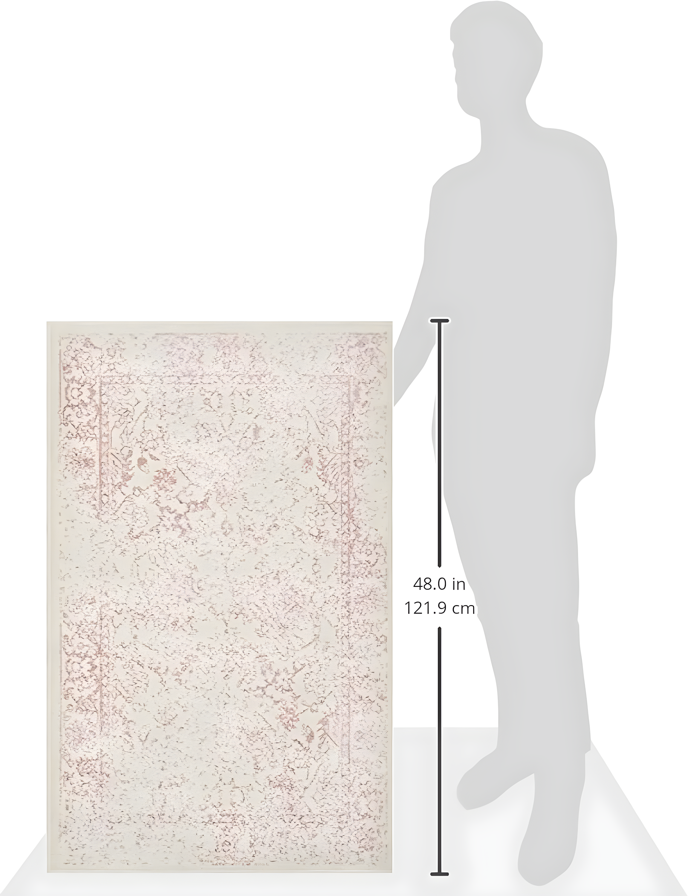 SAFAVIEH Adirondack Wyatt Traditional Area Rug, Ivory/Rose, 2'6" x 4'