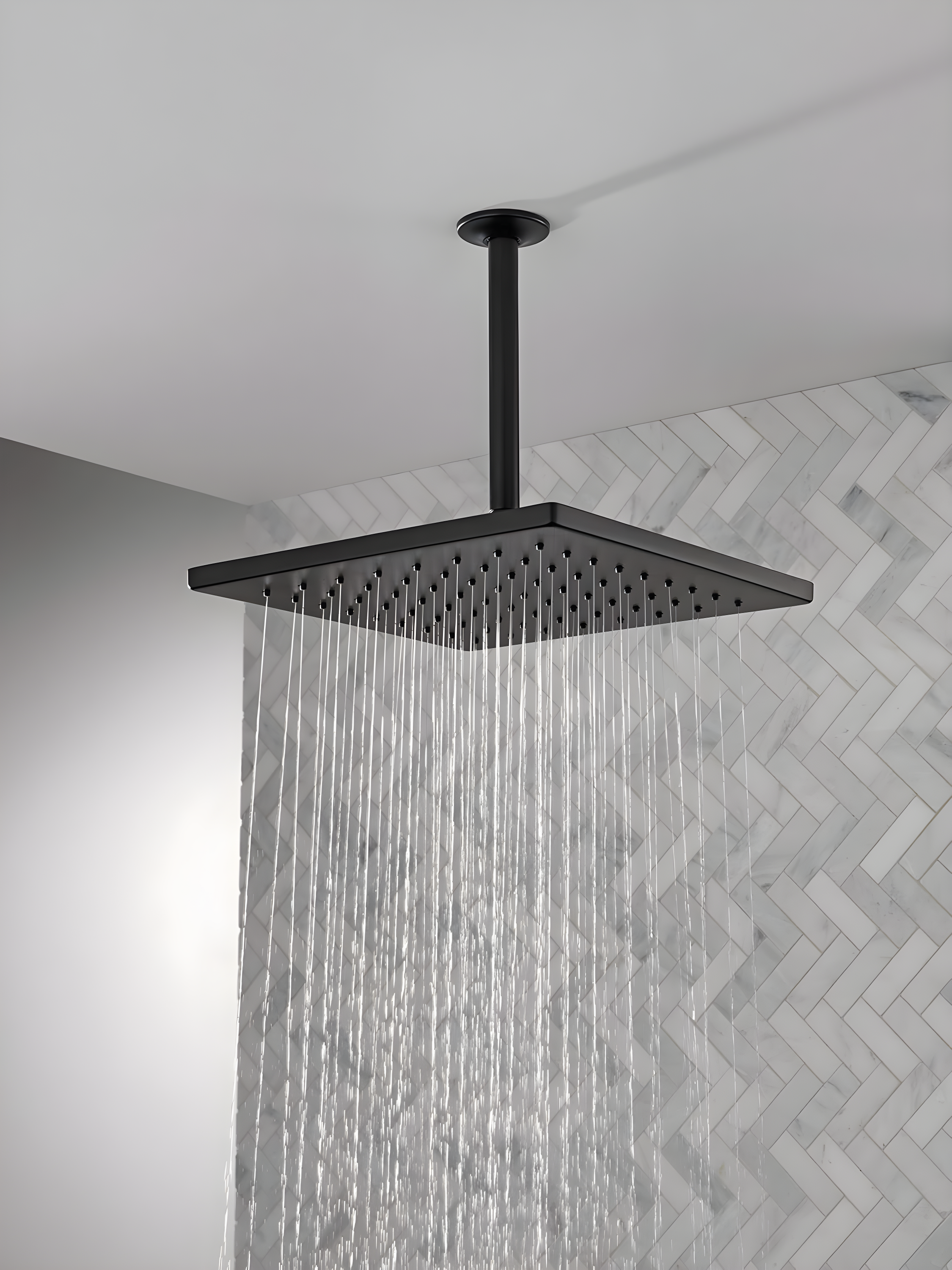 Delta Rain Adjustable Shower Head