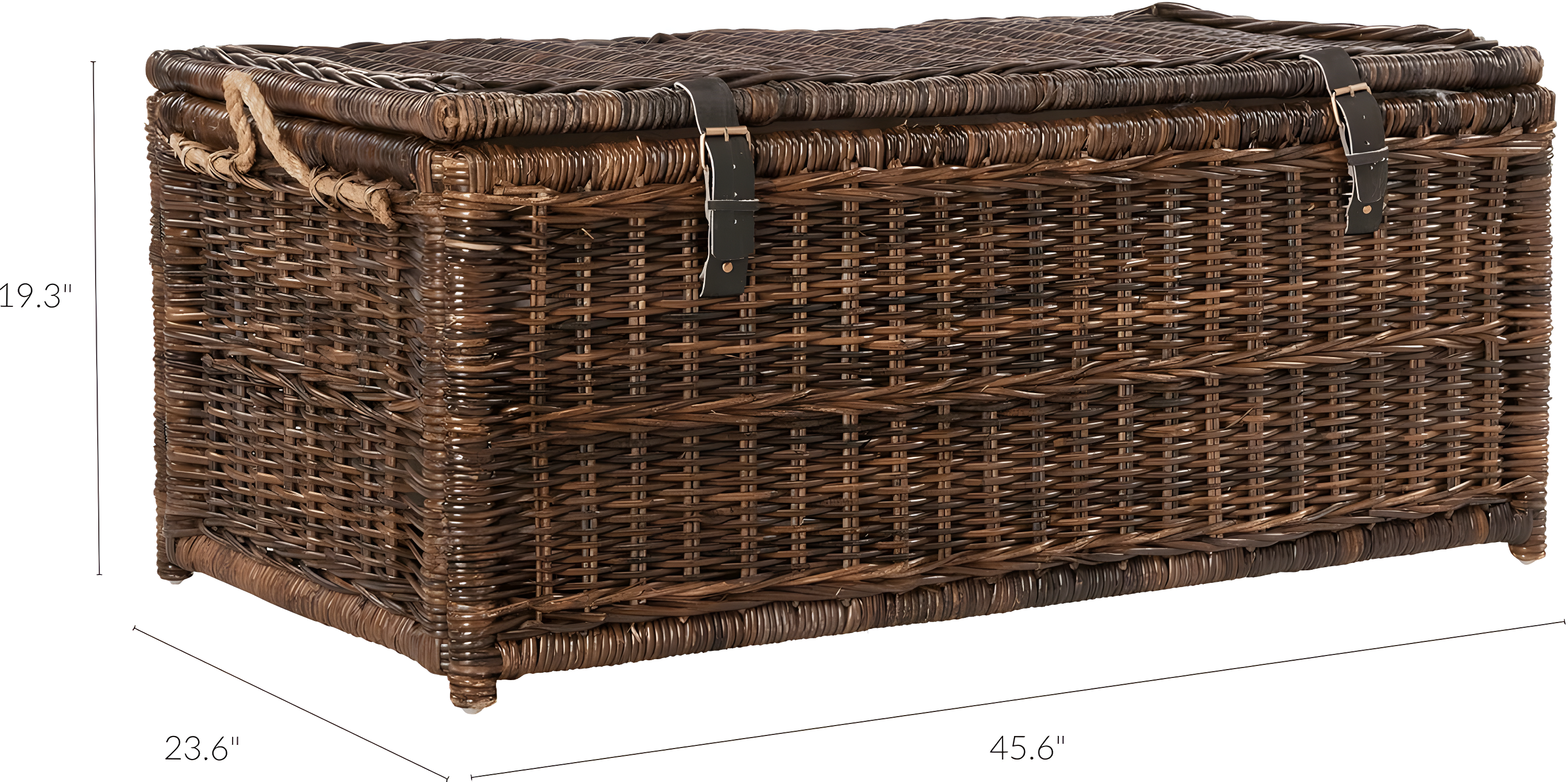 happimess Caden 46" Wicker Storage Trunk