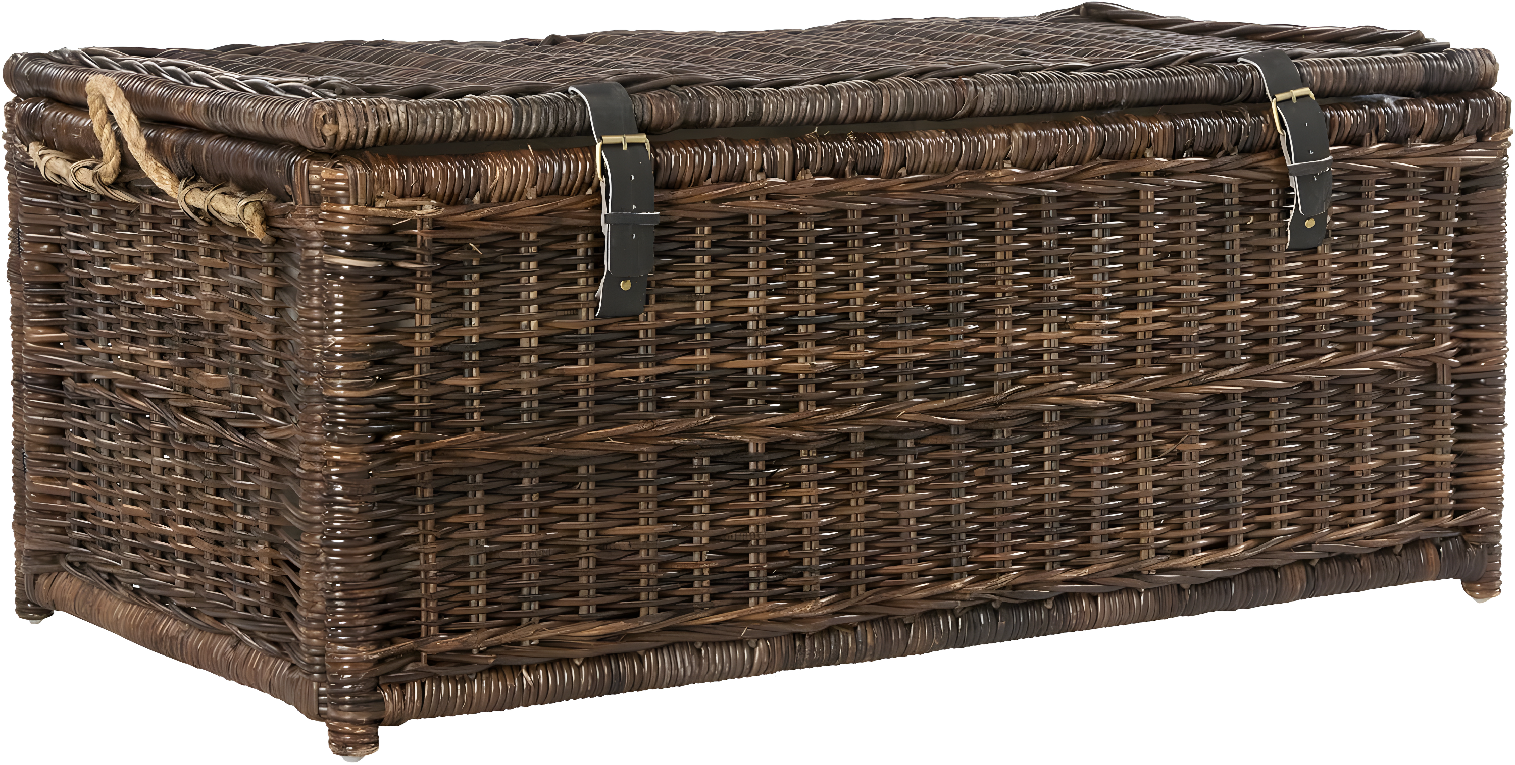 happimess Caden 46" Wicker Storage Trunk